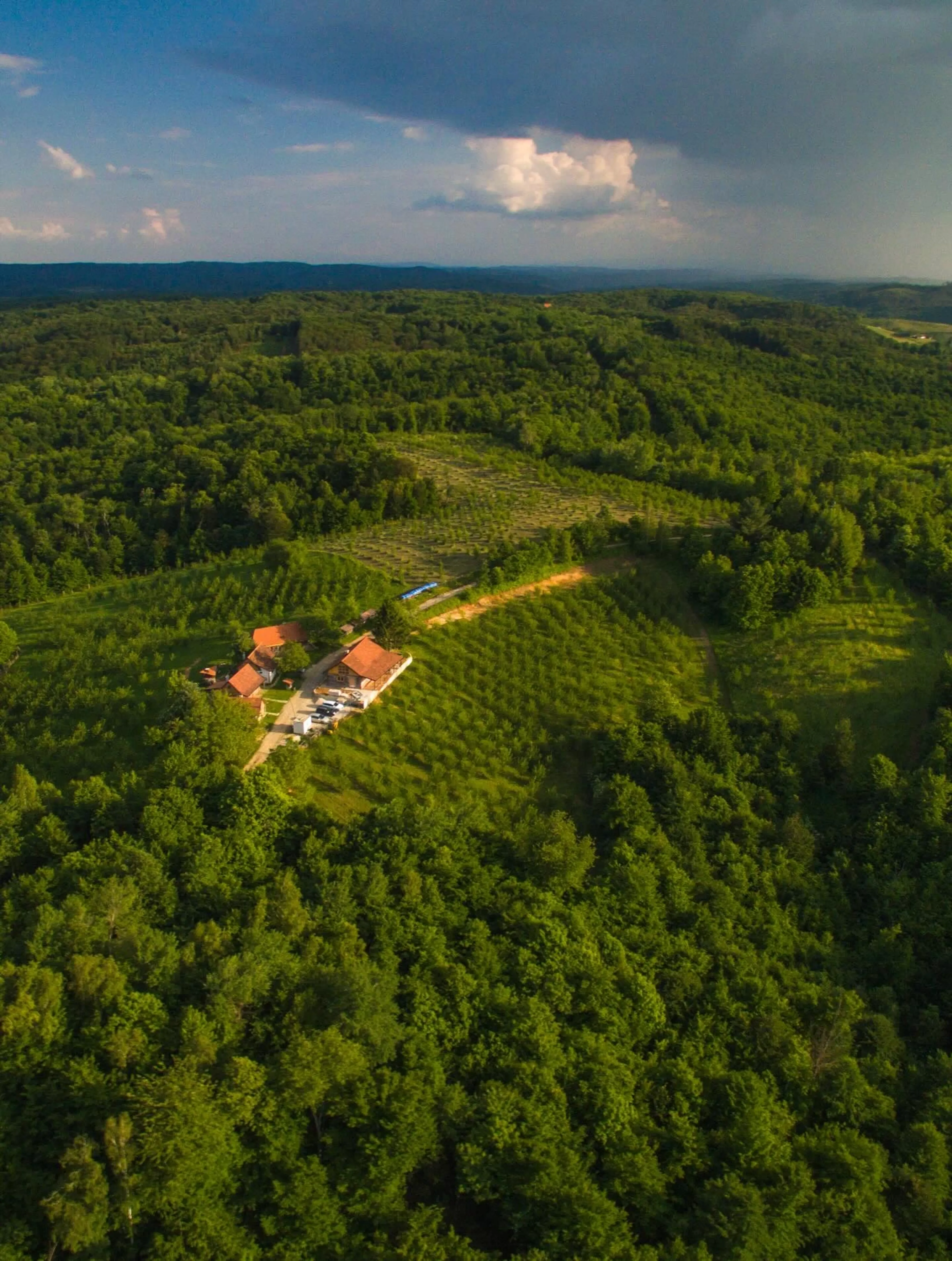 Yoga-Retreat an den Plitvicer Seen: Bewegung und Zeit in der Natur - 5