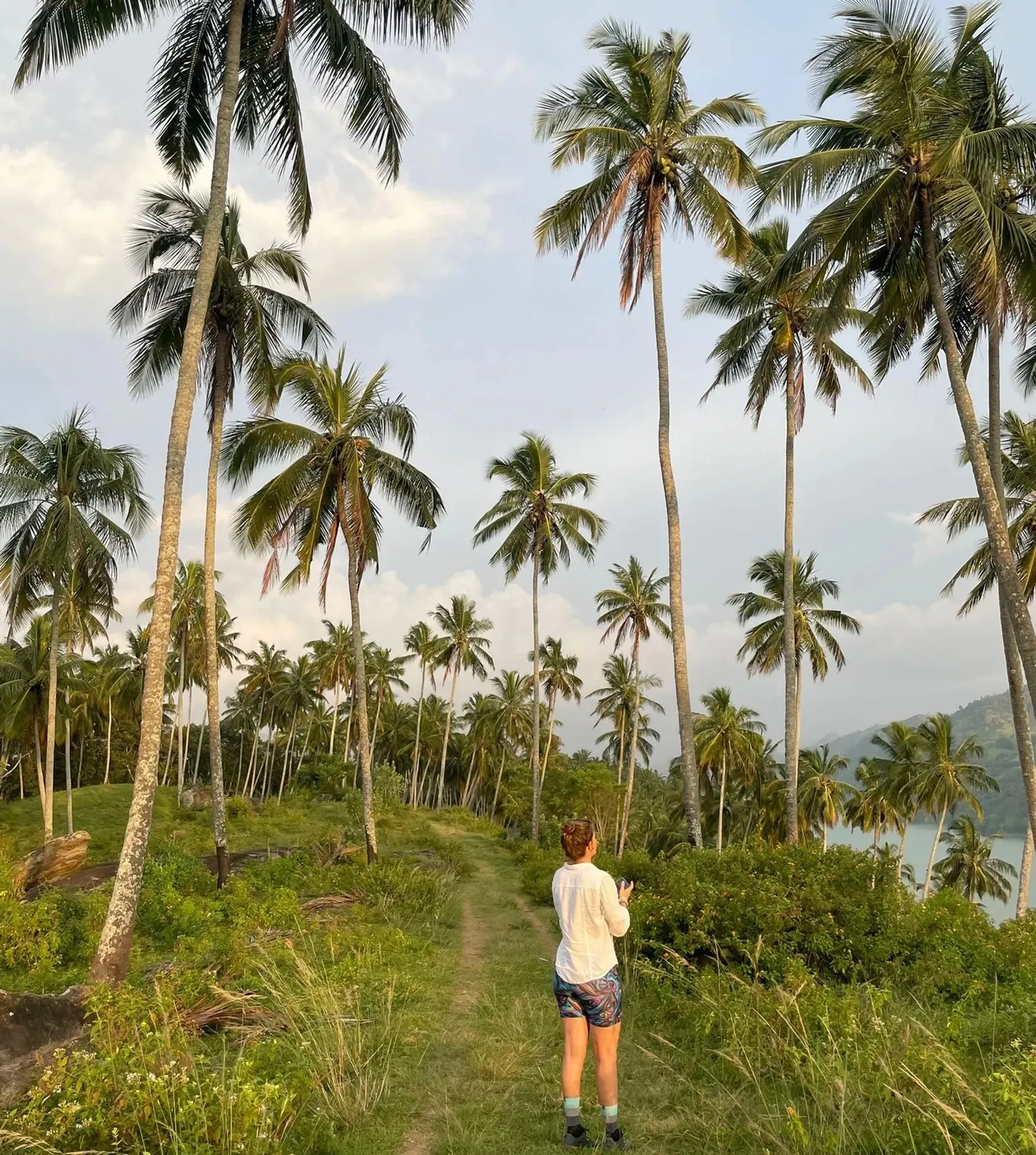 Yoga, Safari & Ayurveda – Eine Rundreise für Körper und Seele
