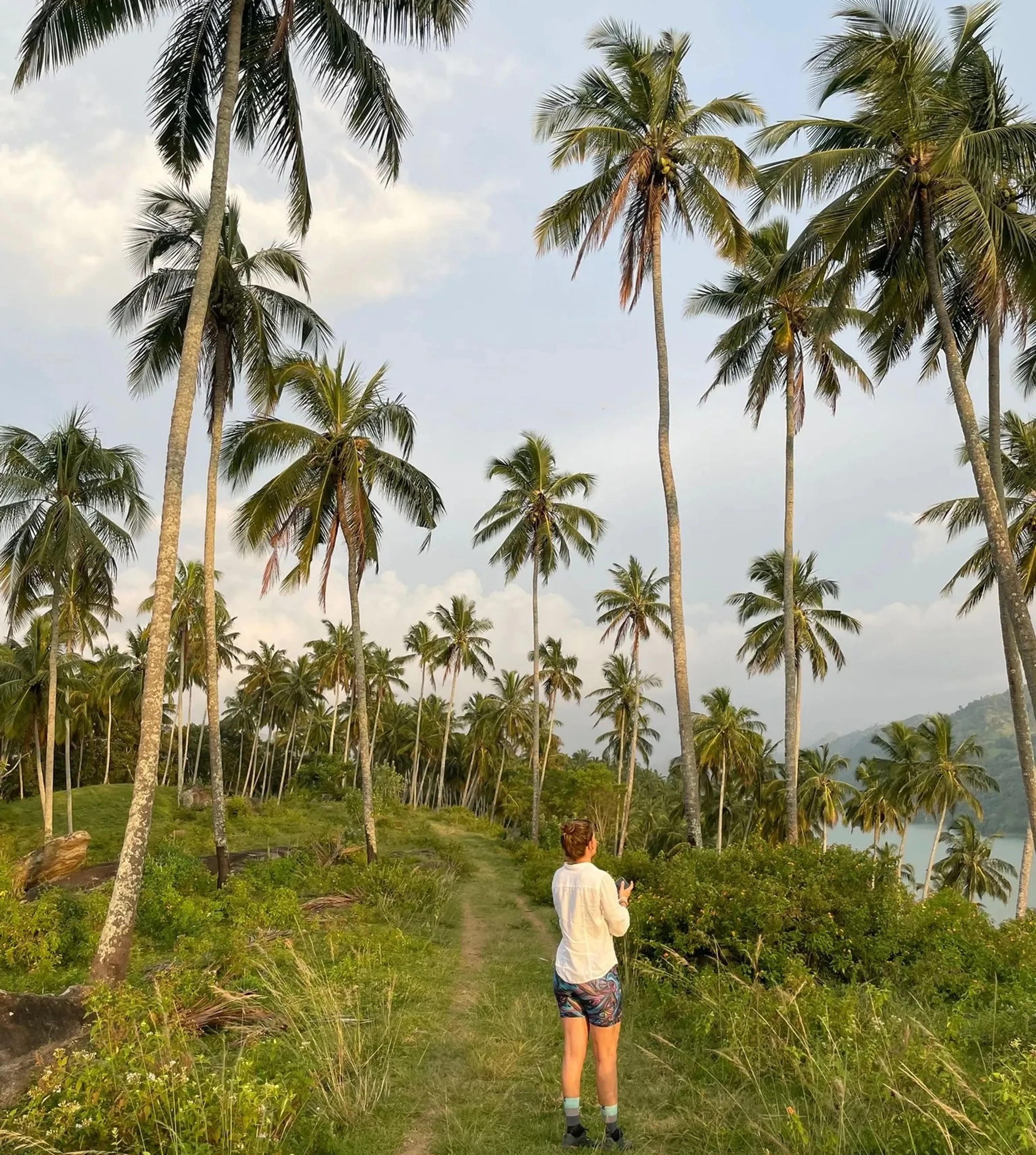 Yoga, Safari & Ayurveda – Eine Rundreise für Körper und Seele