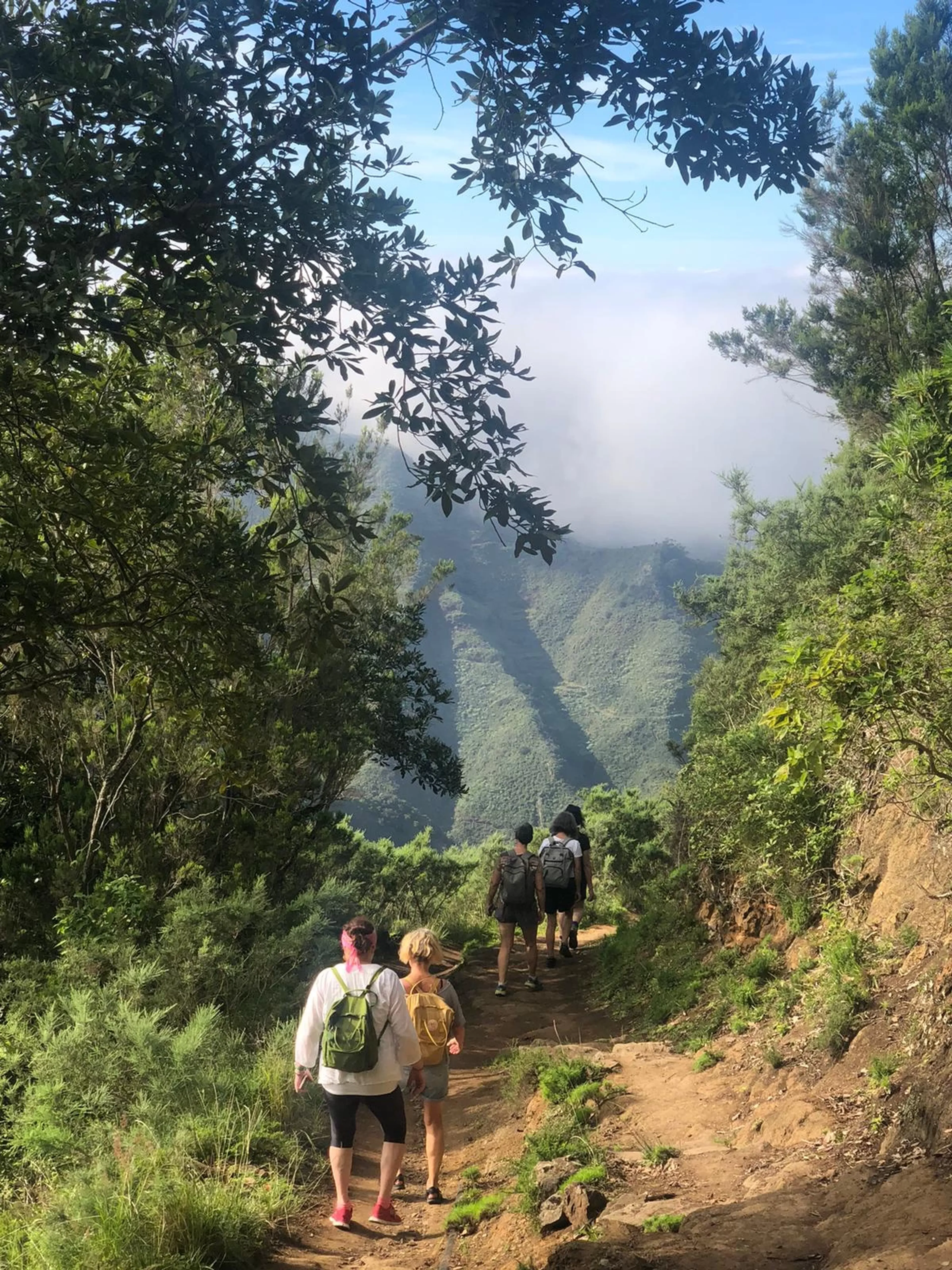 Auszeit auf La Gomera mit Yoga, Sonne, Strand und Wanderungen - 2