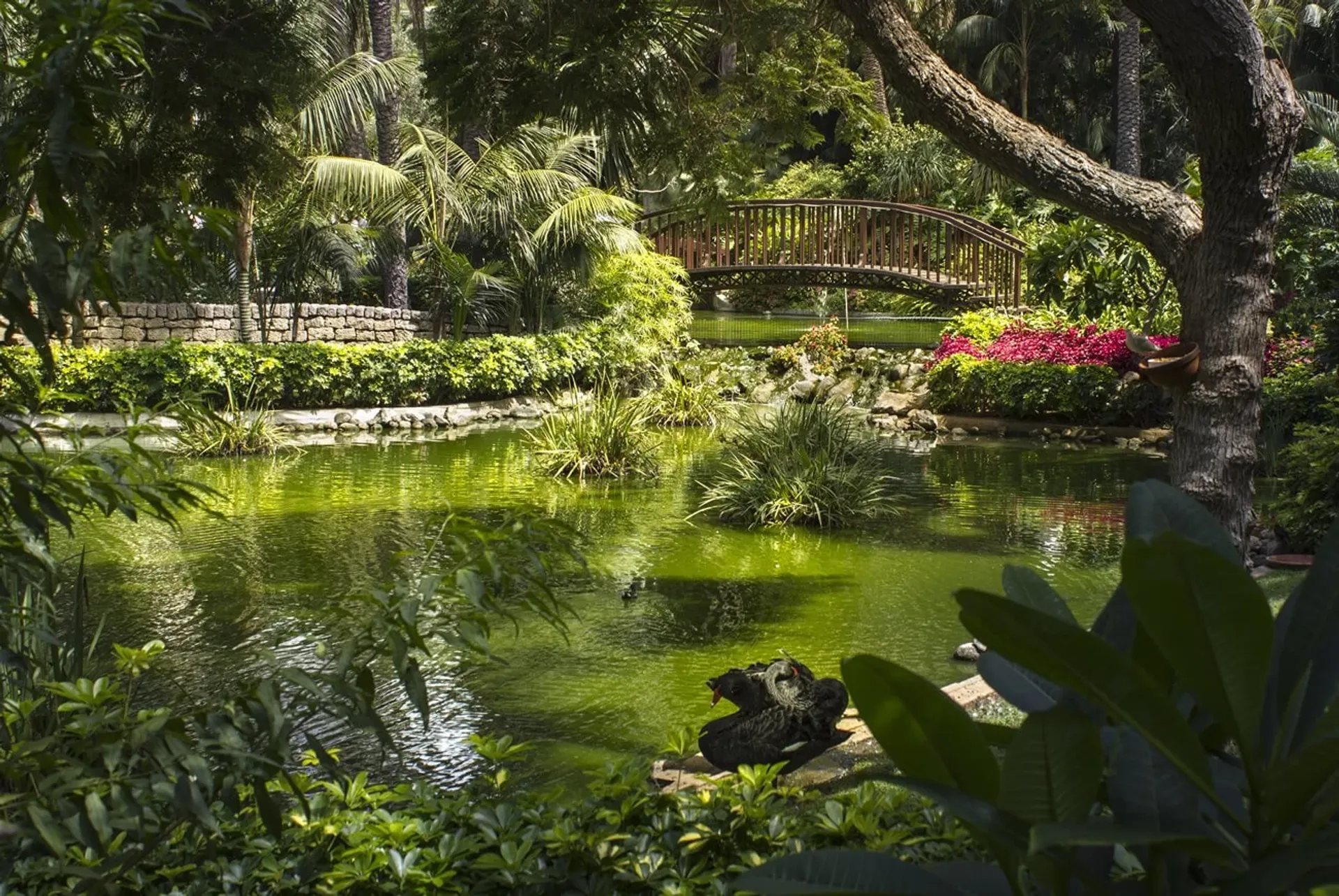 Eine Reise zu dir selbst: Stressbewältigung durch Achtsamkeit & Qigong - 5