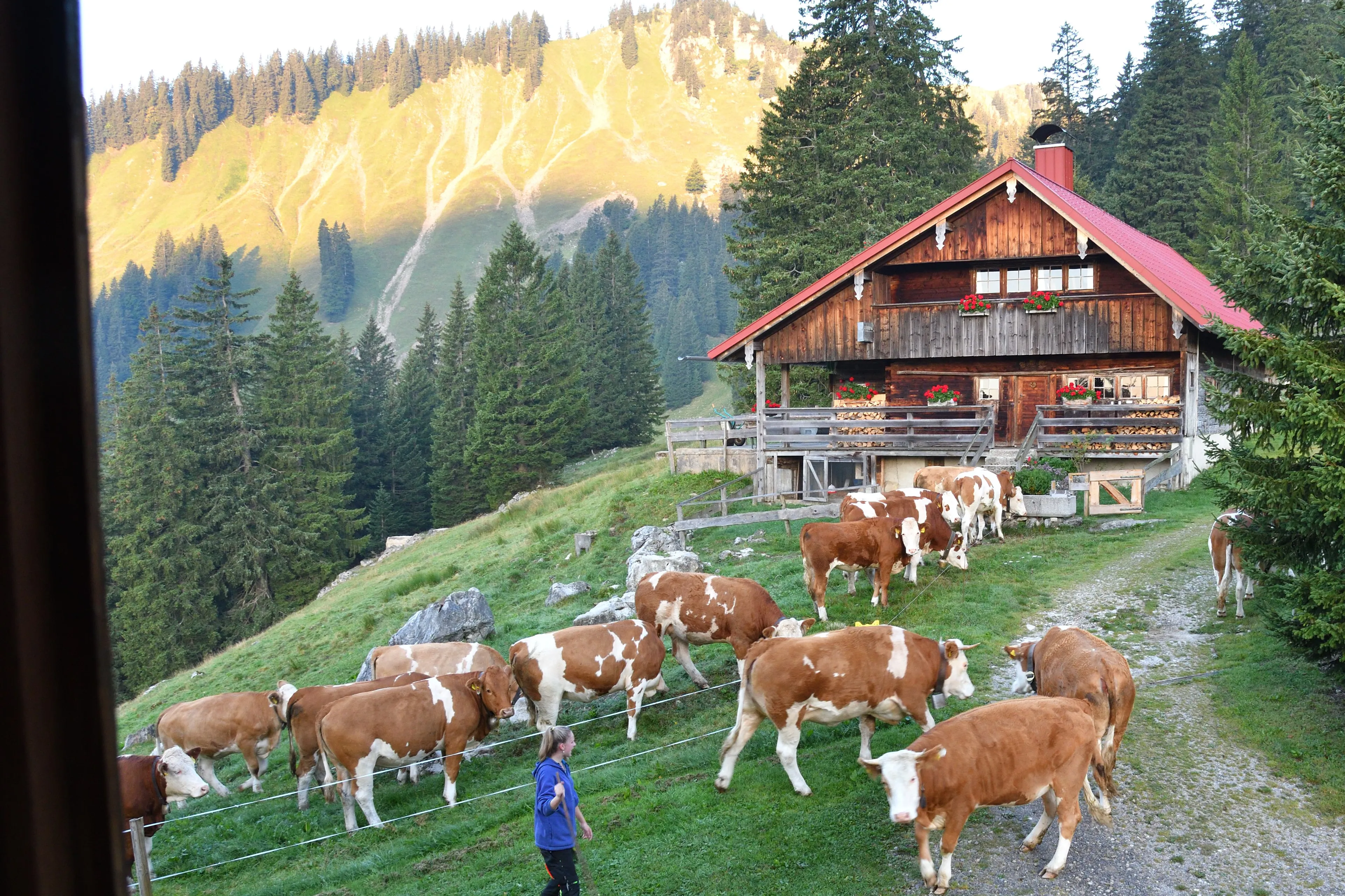 Kurze Auszeit: "Yoga- und innere Verbindung" auf der Oberen Firstalm - 4