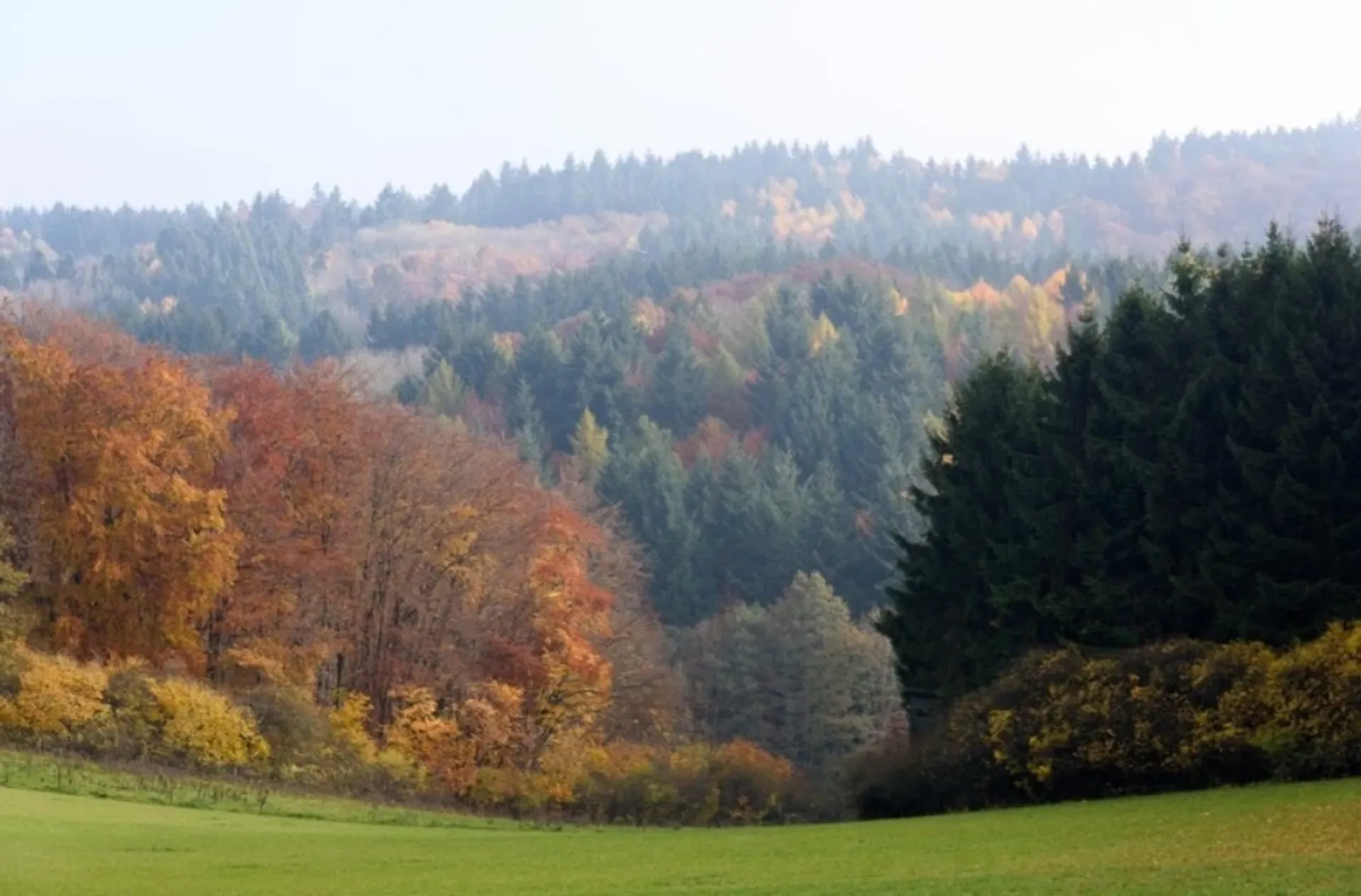 Deine Yoga-Auszeit zwischen Wäldern und Weite der Nordeifel - 4