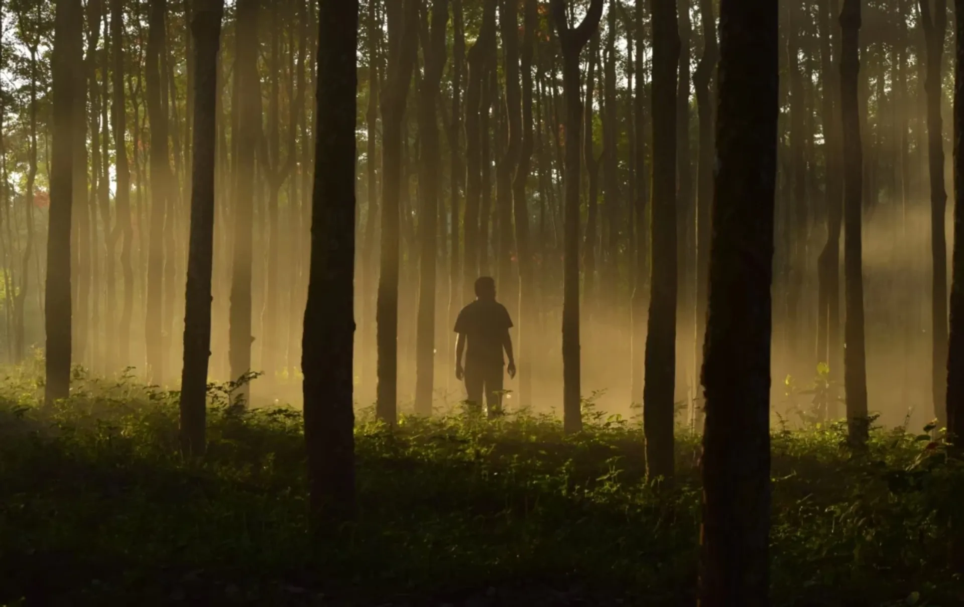 Die Kunst des Innehaltens – Deine Auszeit mit Sinn - 4