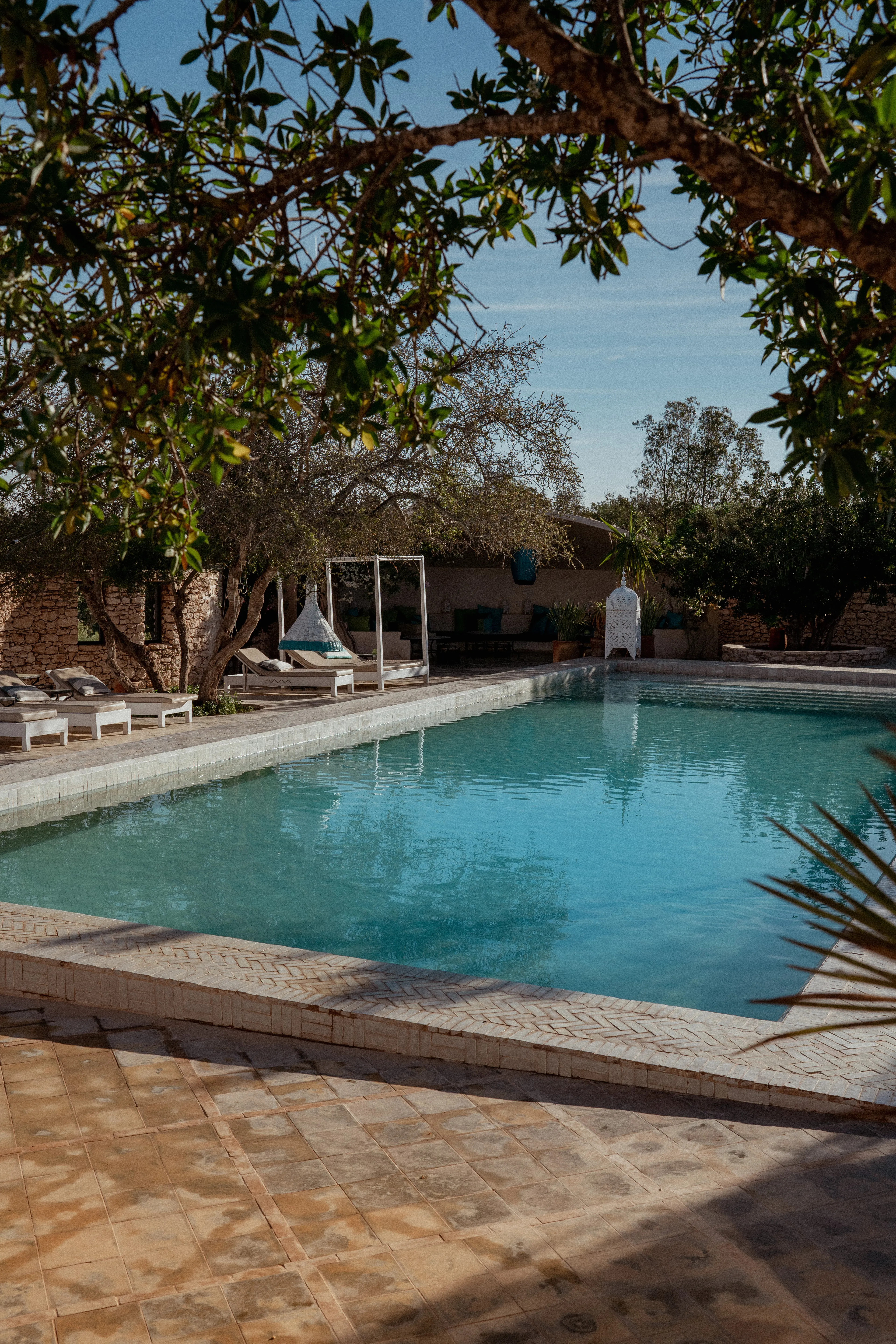 Neujahrs-Yoga-Retreat im nachhaltigen Ecohotel in Essaouira - 4