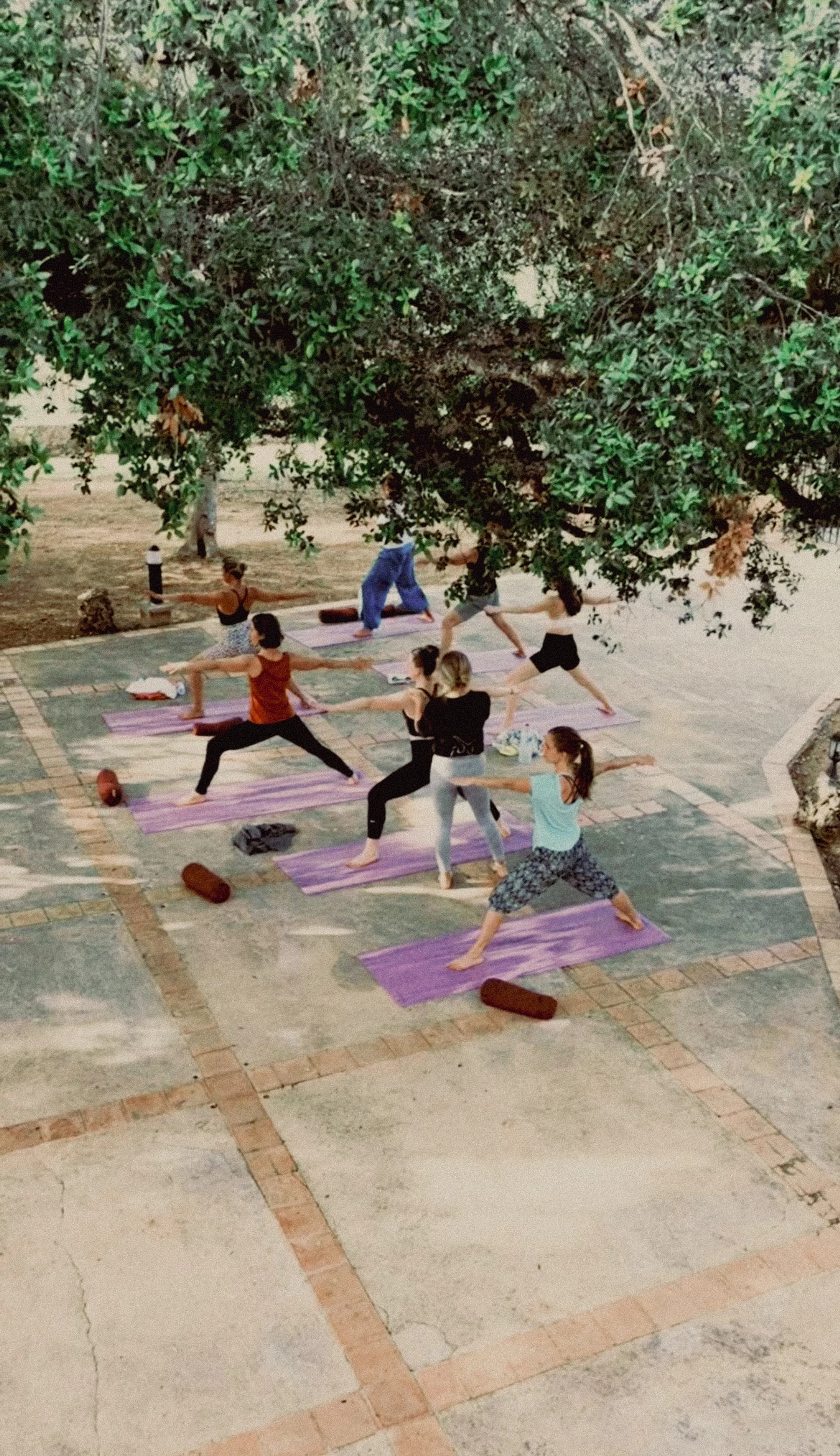 Wild und Free: Yoga Retreat in Traumhafter Finca auf Mallorca - 5