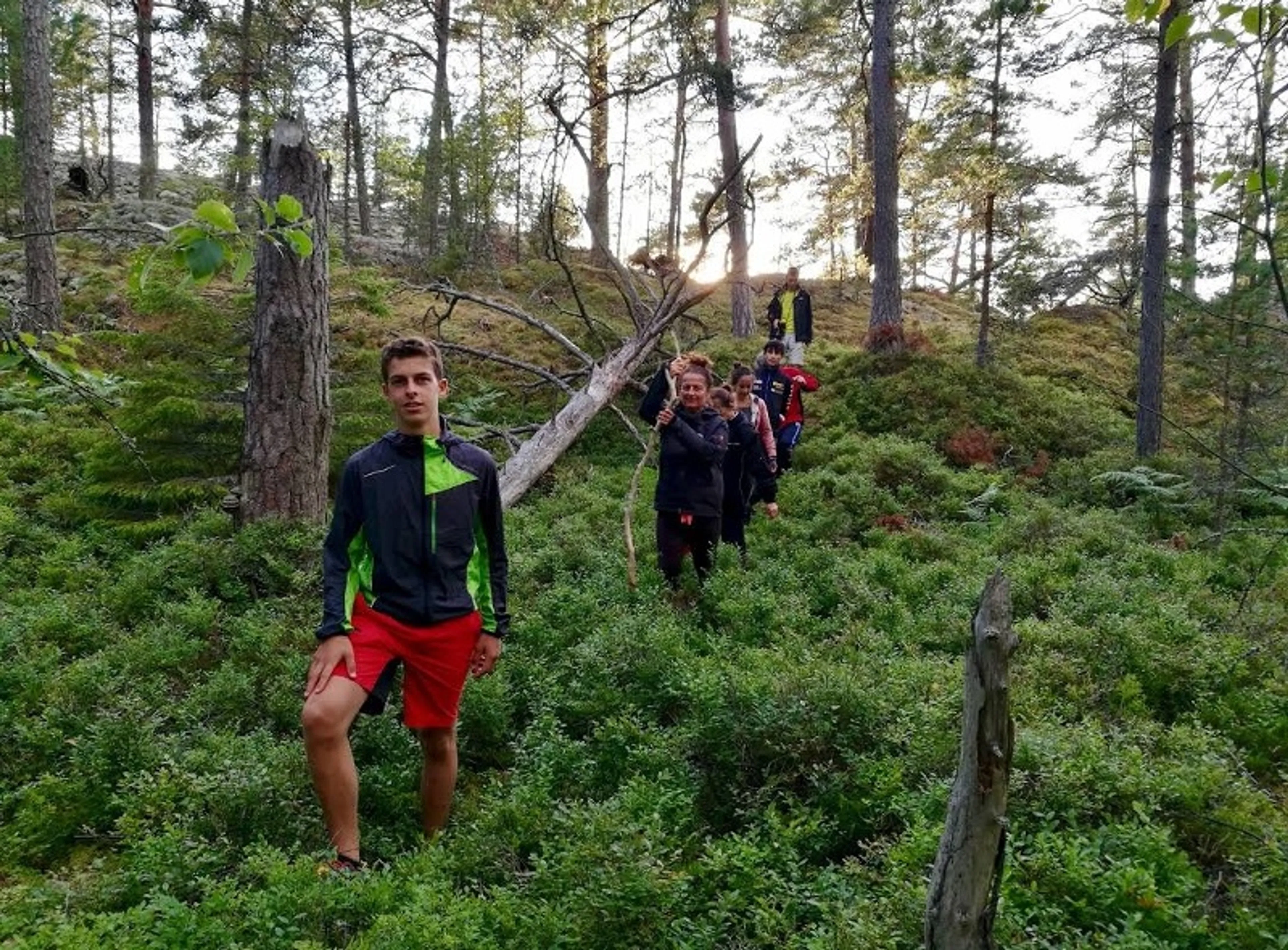 Expedition durch die Wildnis: Erkunde Schwedens Natur - 3