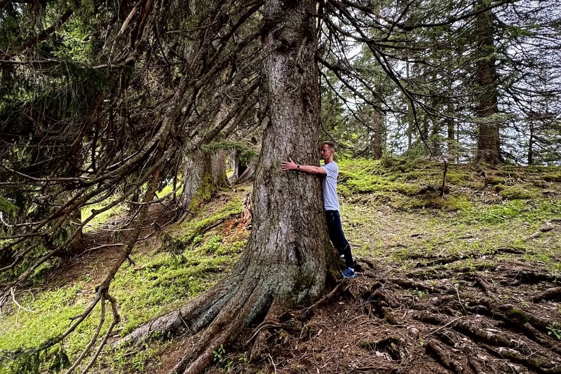 Yoga, Wandern und Waldbaden auf der Oberen Firstalm