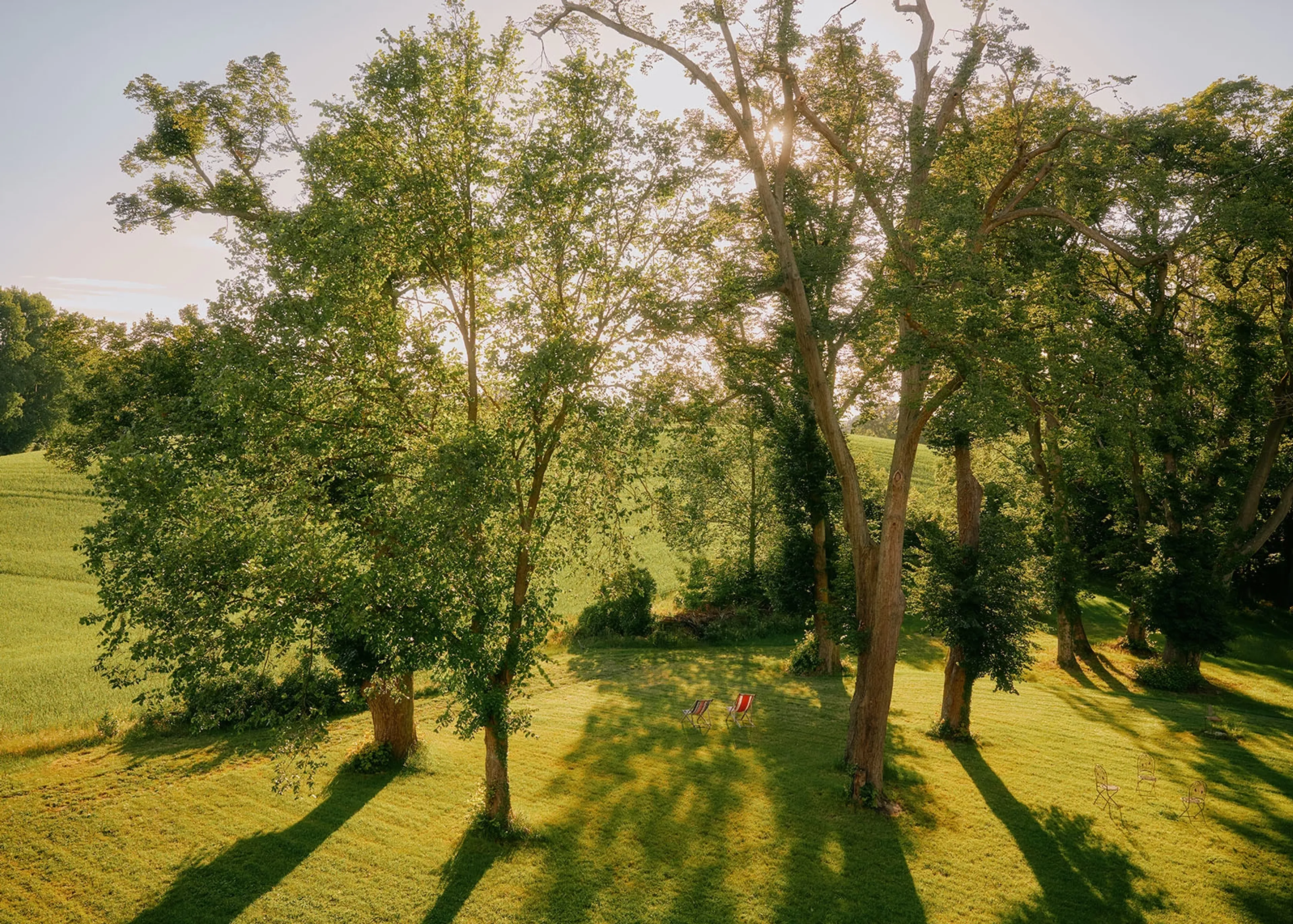 Bloom & Rise: Ein Frühlings-Retreat inmitten der Natur