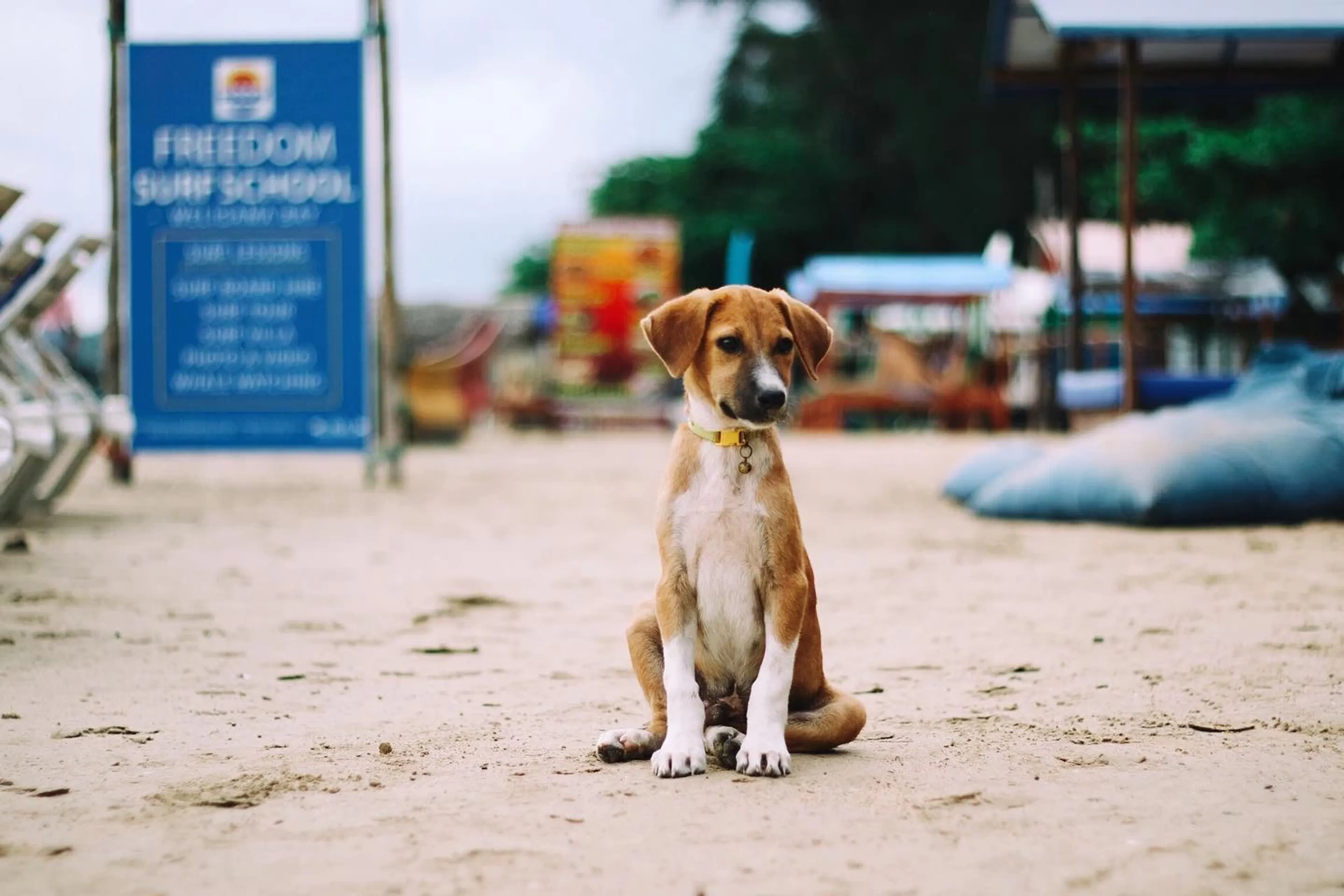 Zuhause fernab von Zuhause: Surfcamp mit Komfort und Familien-Gefühl - 3