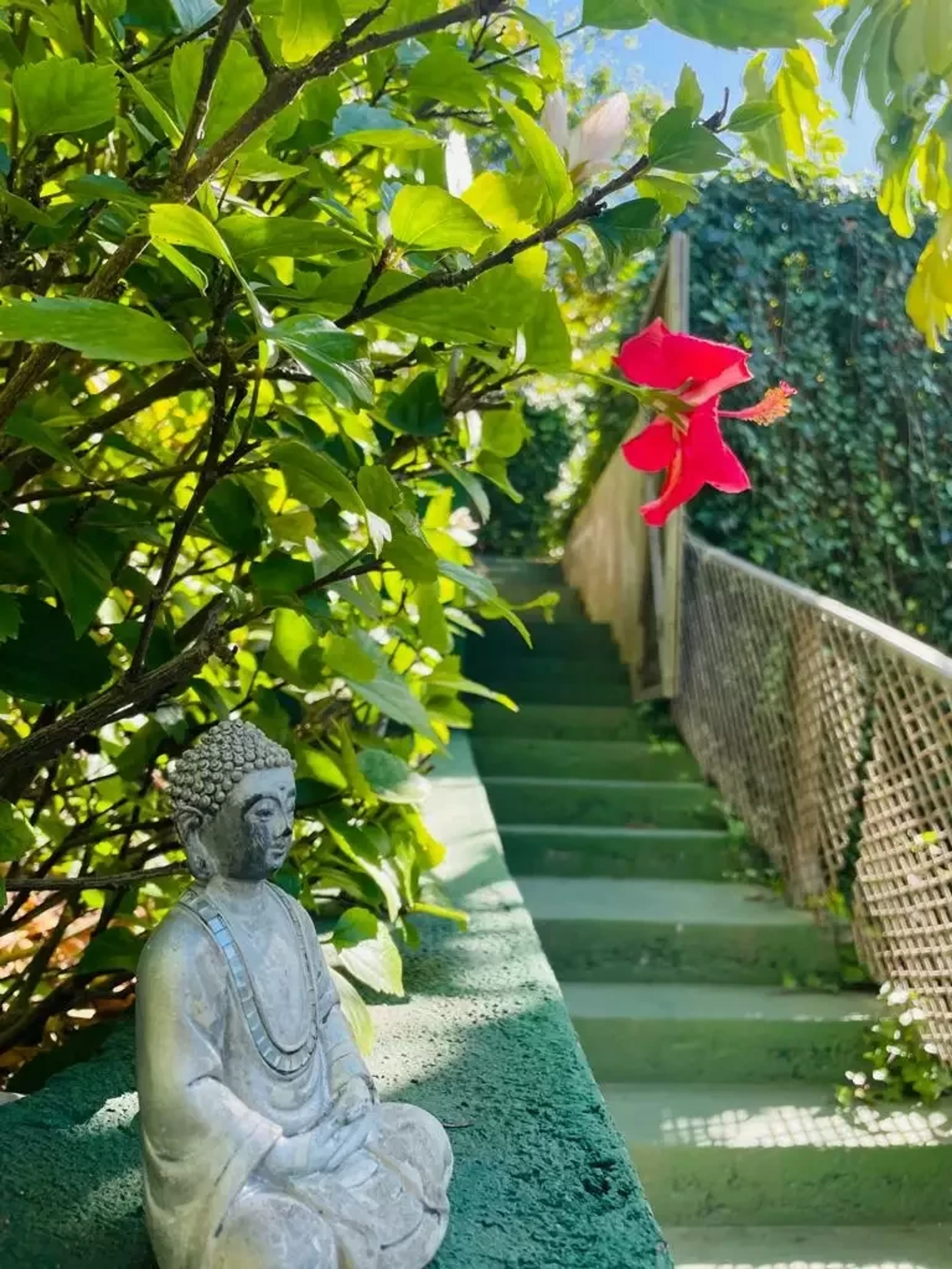 Authentisches Ayurveda & Yoga auf Teneriffa: Persönlich & individuell - 3