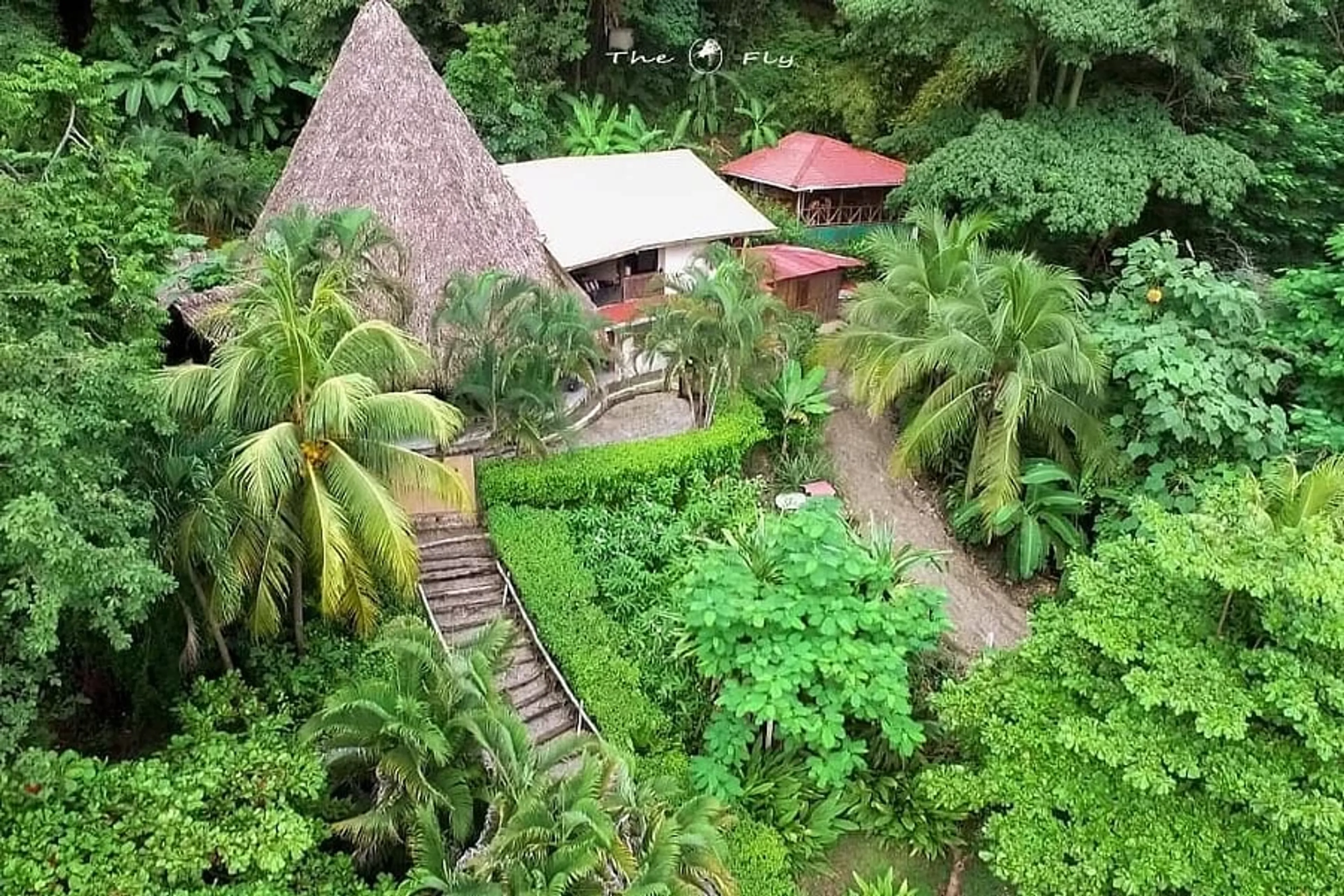 Jungle meets Beach: Dein Surf und Yoga Flow-Abenteuer - 5