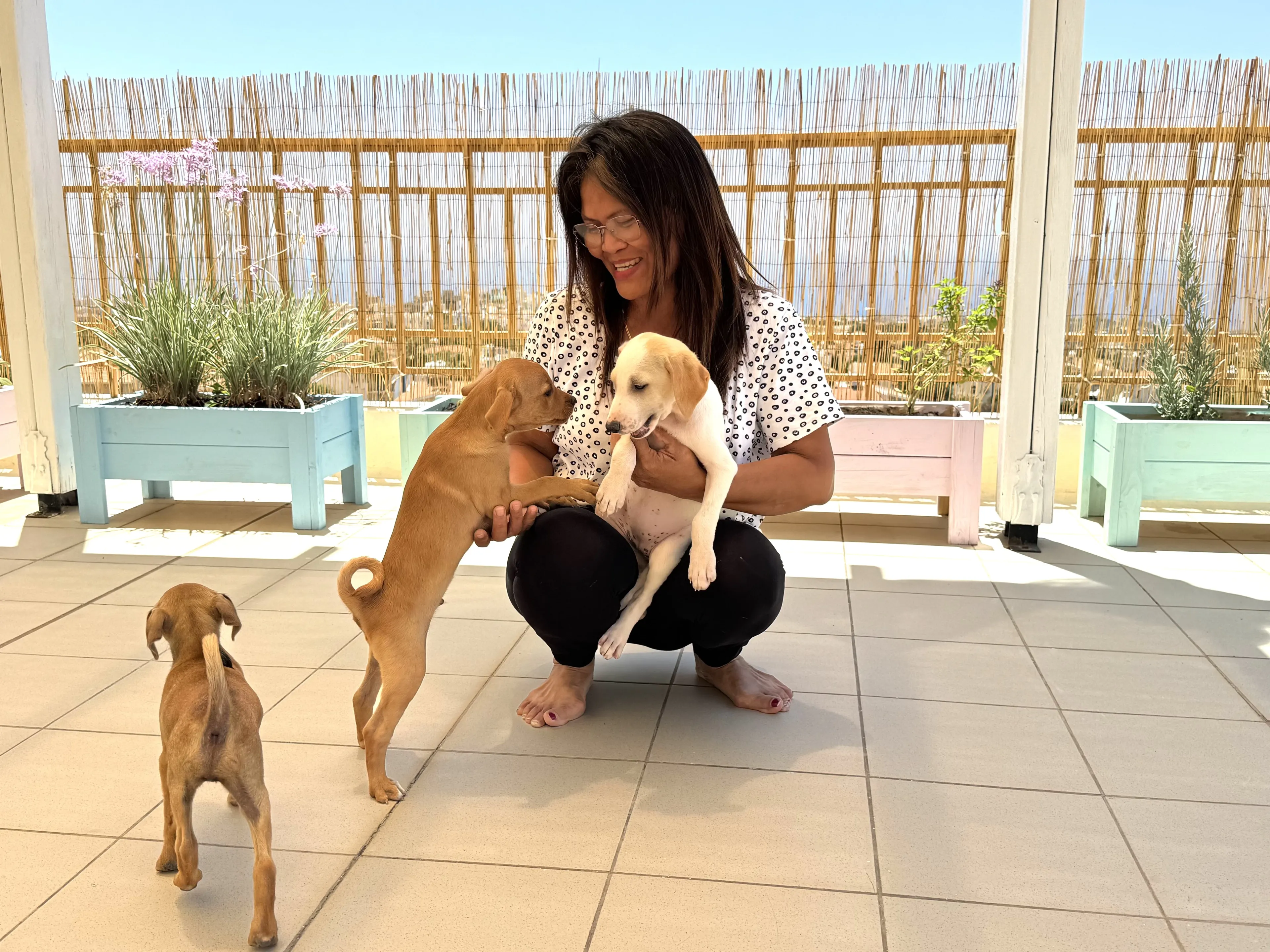 Puppy Yoga und Erholung pur: Retreat an Zyperns Küste - 4