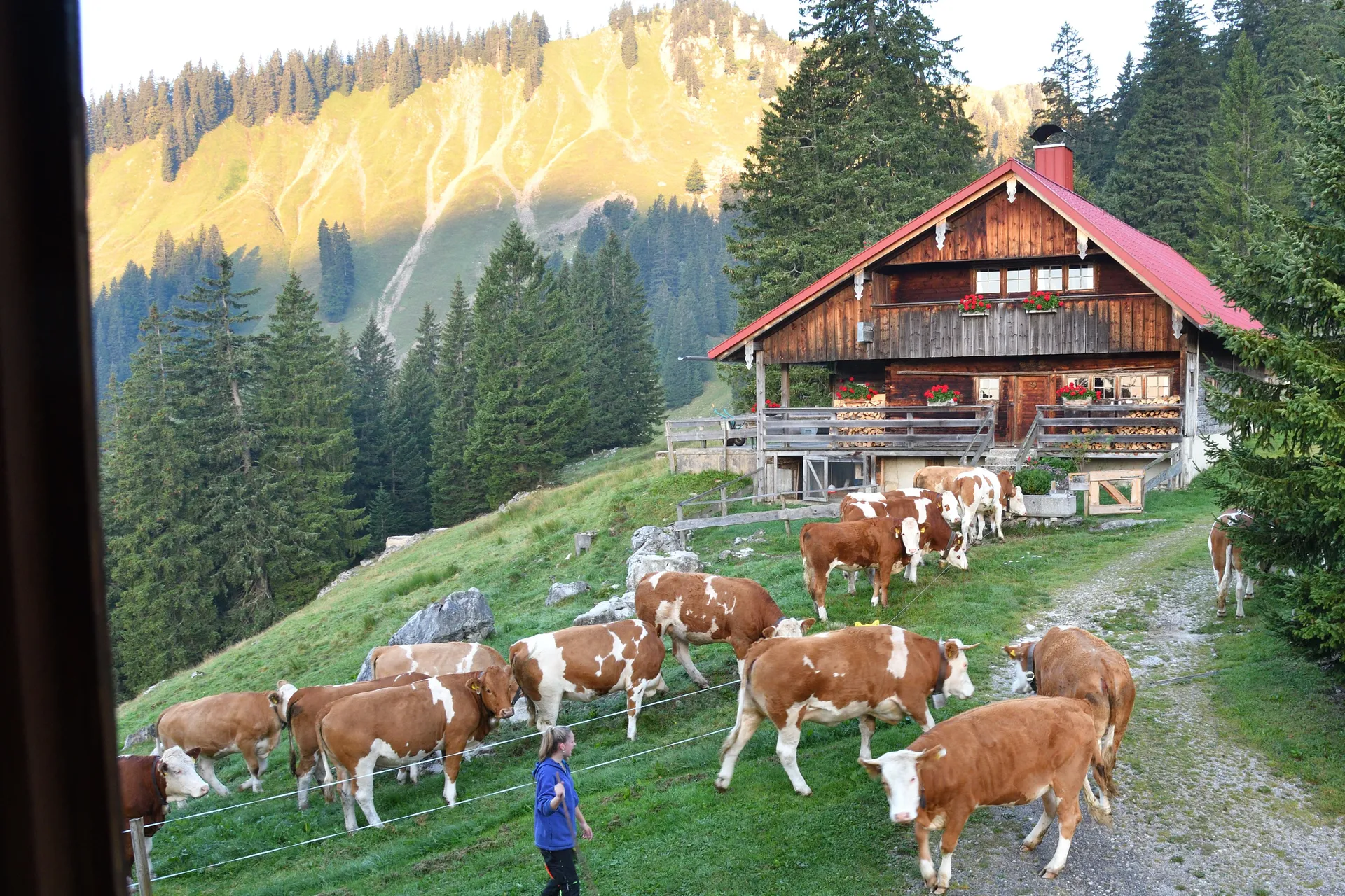 Yin Yoga und Wandern auf der Oberen Firstalm