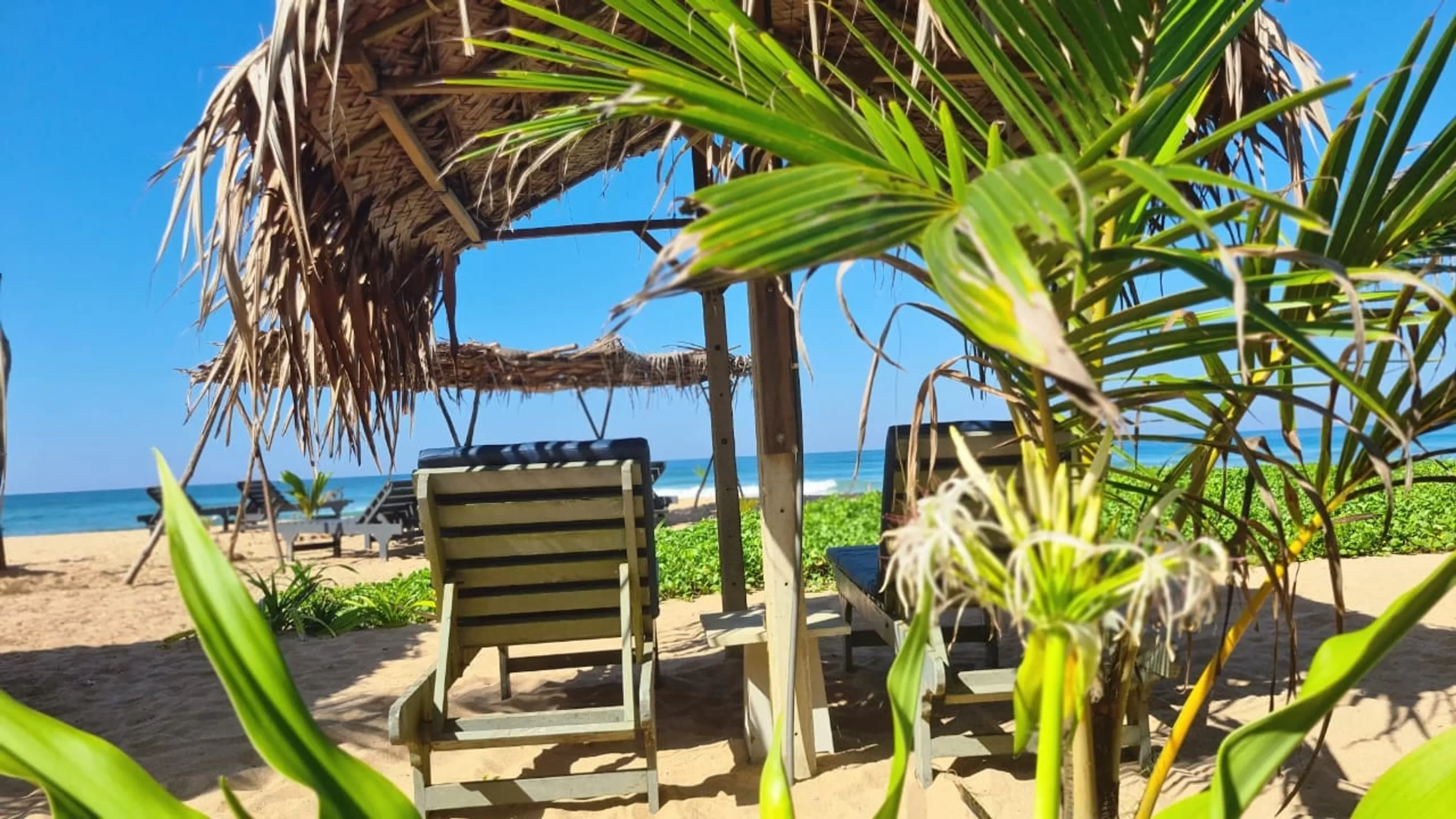 Erfrische deine Seele! Ein verjüngendes Yoga-Retreat-Erlebnis in Sri Lanka - 3