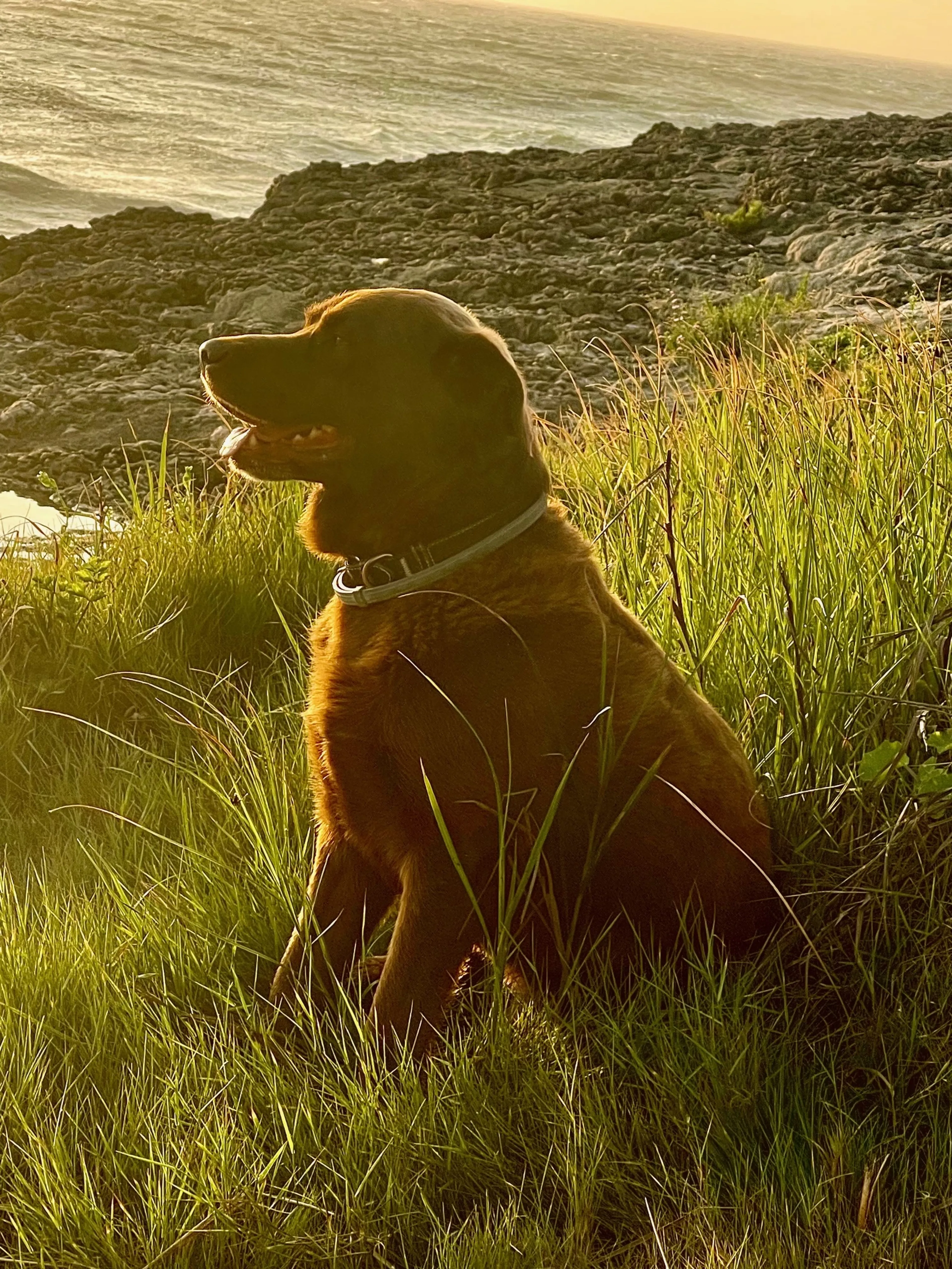 Surf, Sleep, Eat & Repeat - Erlebe Ericeiras atemberaubende Klippen - 5