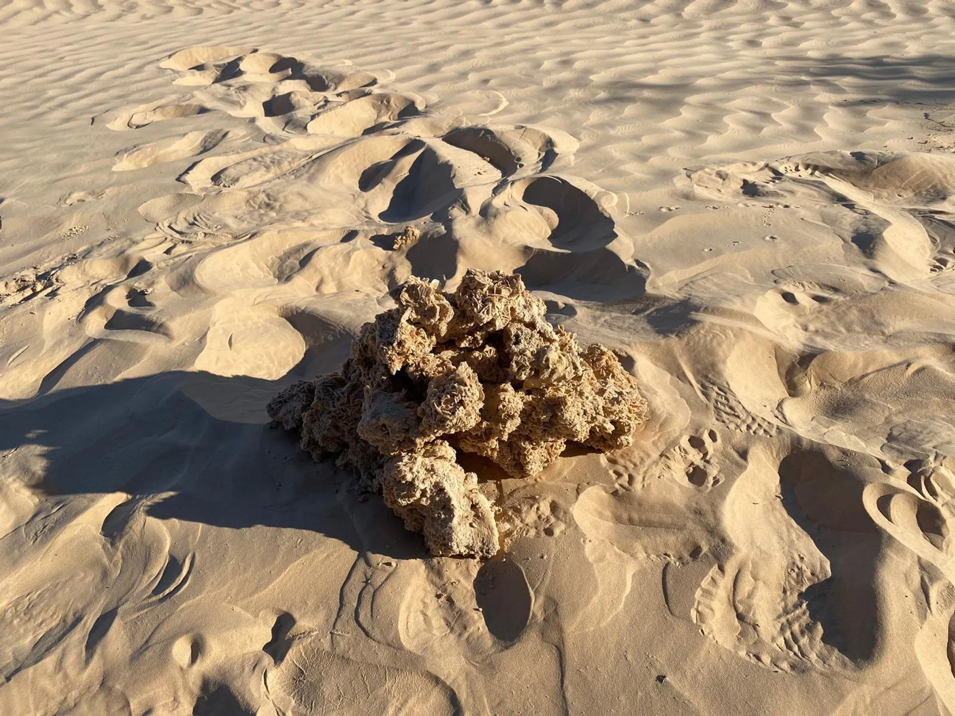 Kameltrekking und Wüstenmagie in der Sahara Tunesiens - 4
