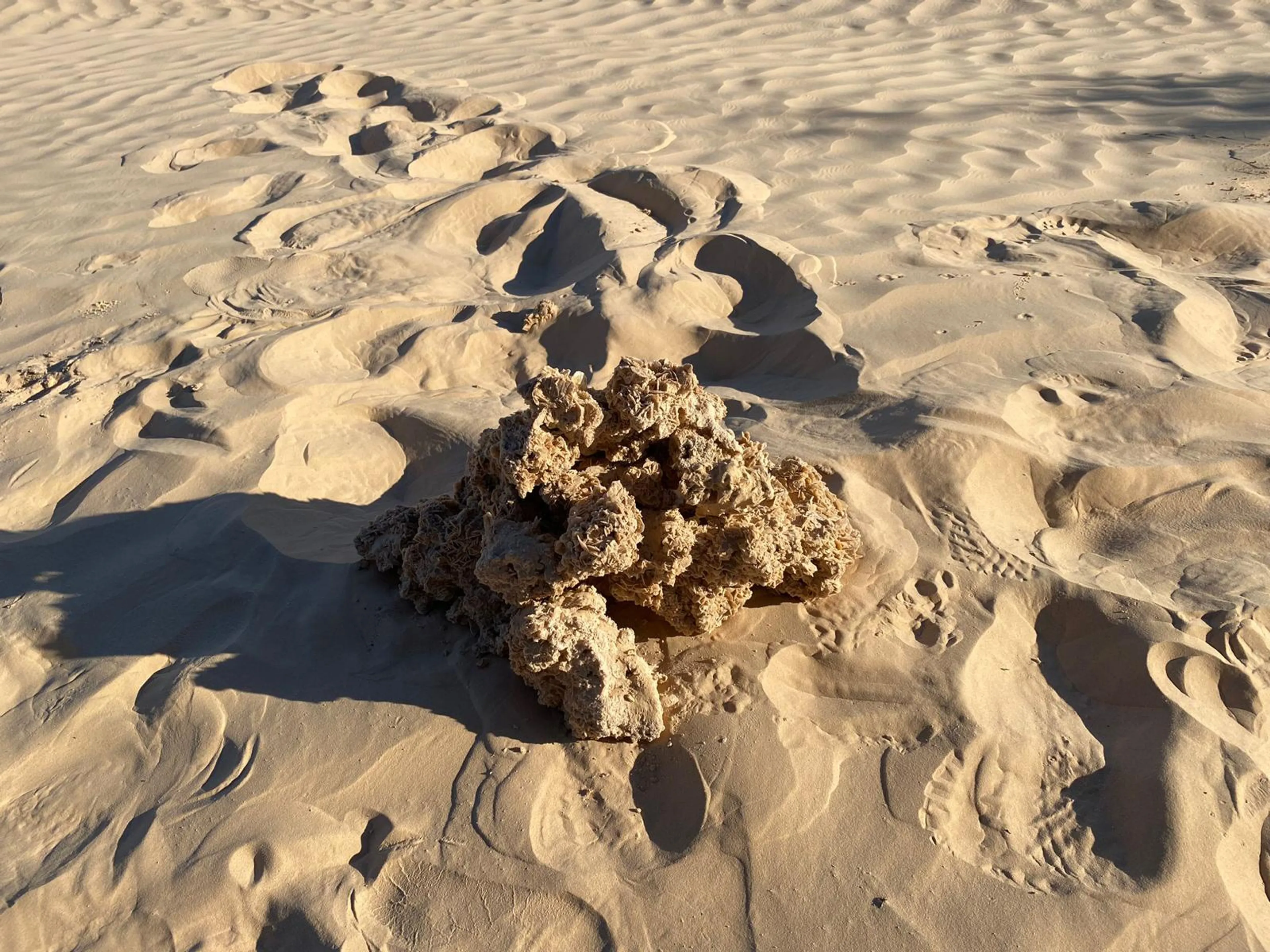 Kameltrekking und Wüstenmagie in der Sahara Tunesiens - 4