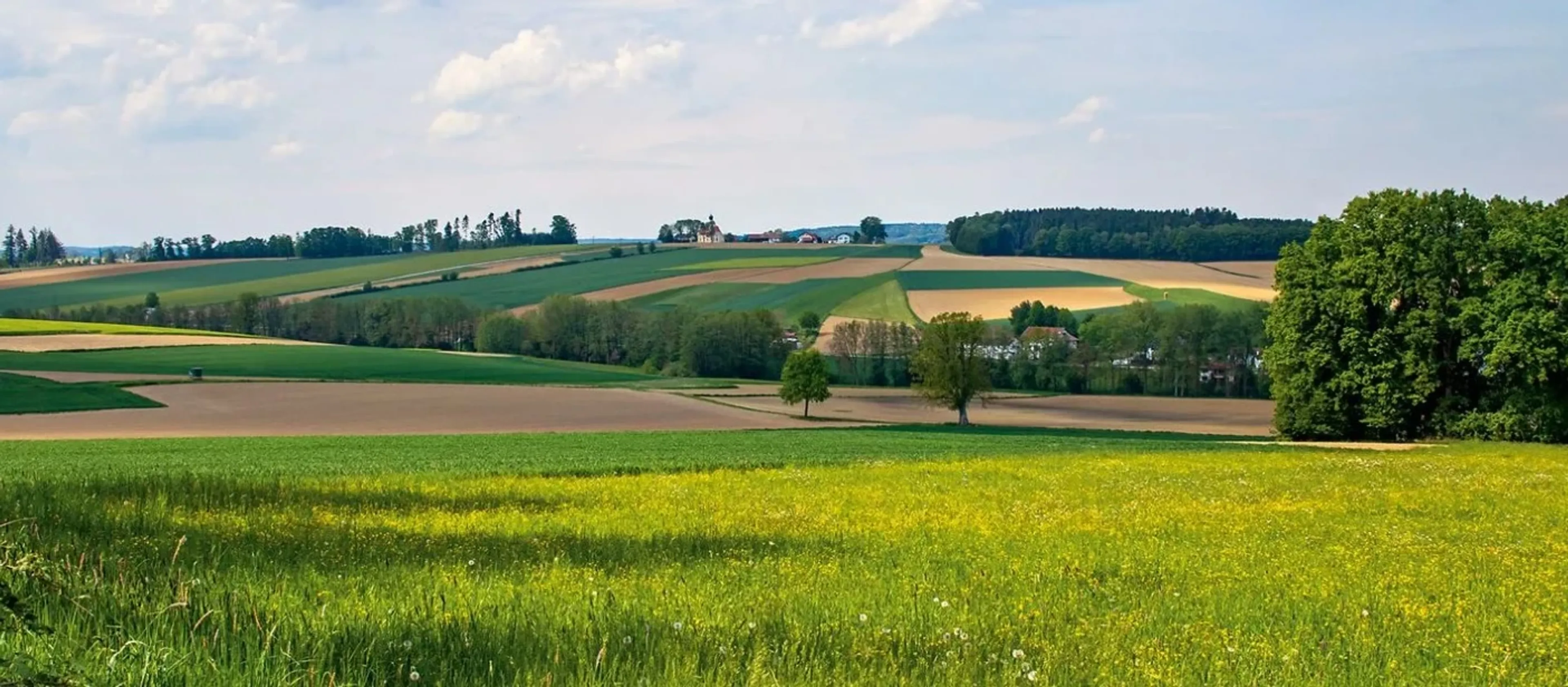 Moderne Fastenkur im Medical Spa Resort in der Bayerischen Toskana - 4