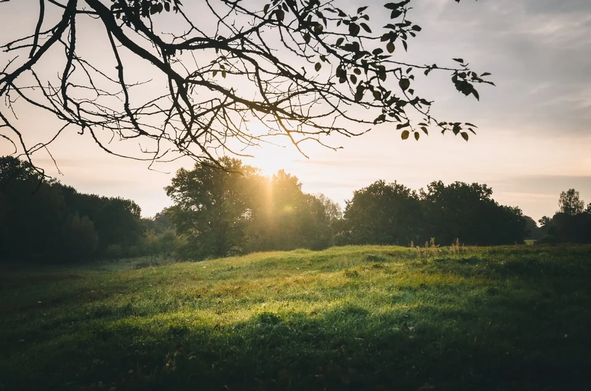 Yoga, Wandern und Rohkost-Detox im Müritz-Nationalpark - 5