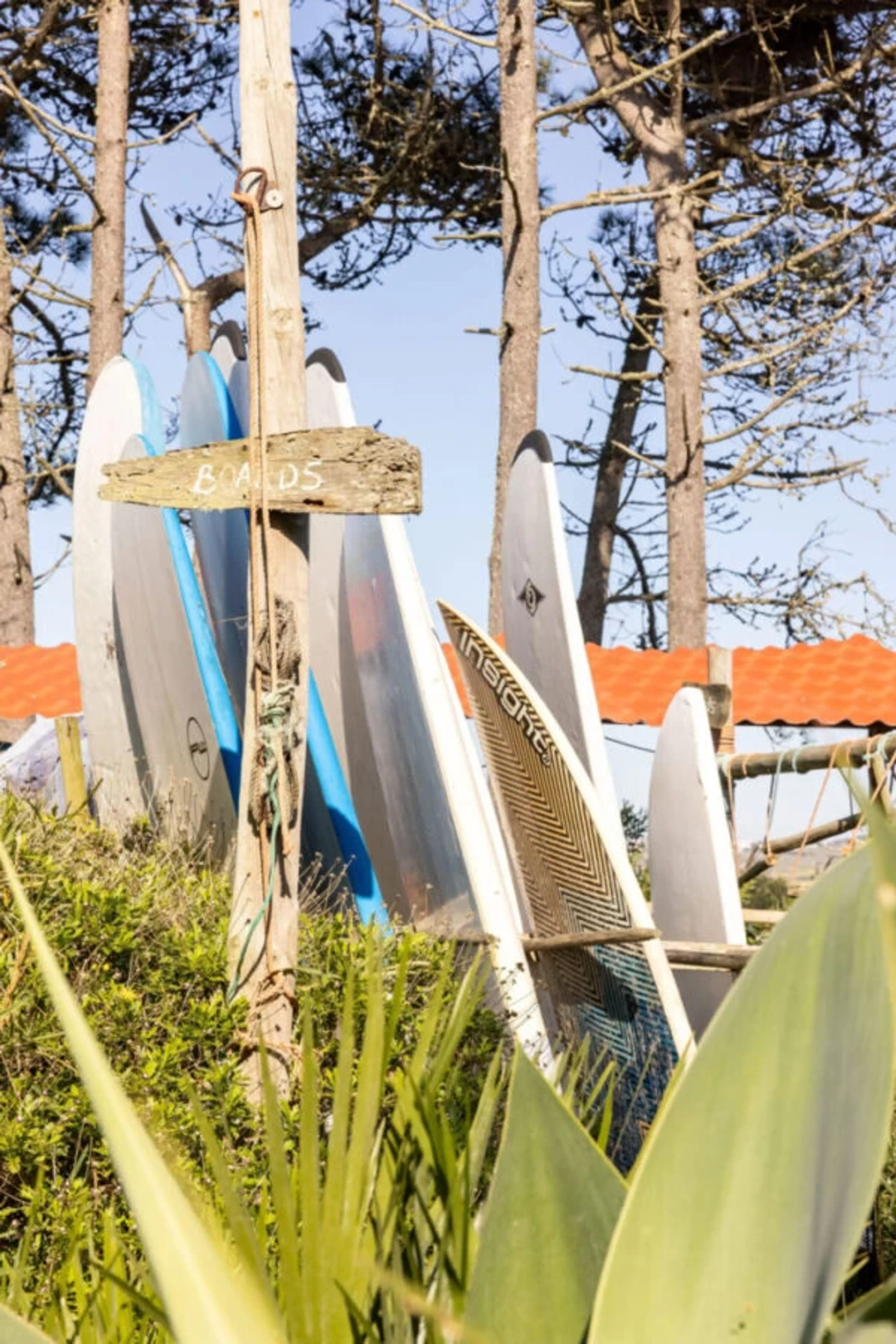 Surf, Chill, Party, Repeat - Chilliges Party-Surfcamp in Santa Cruz - 4