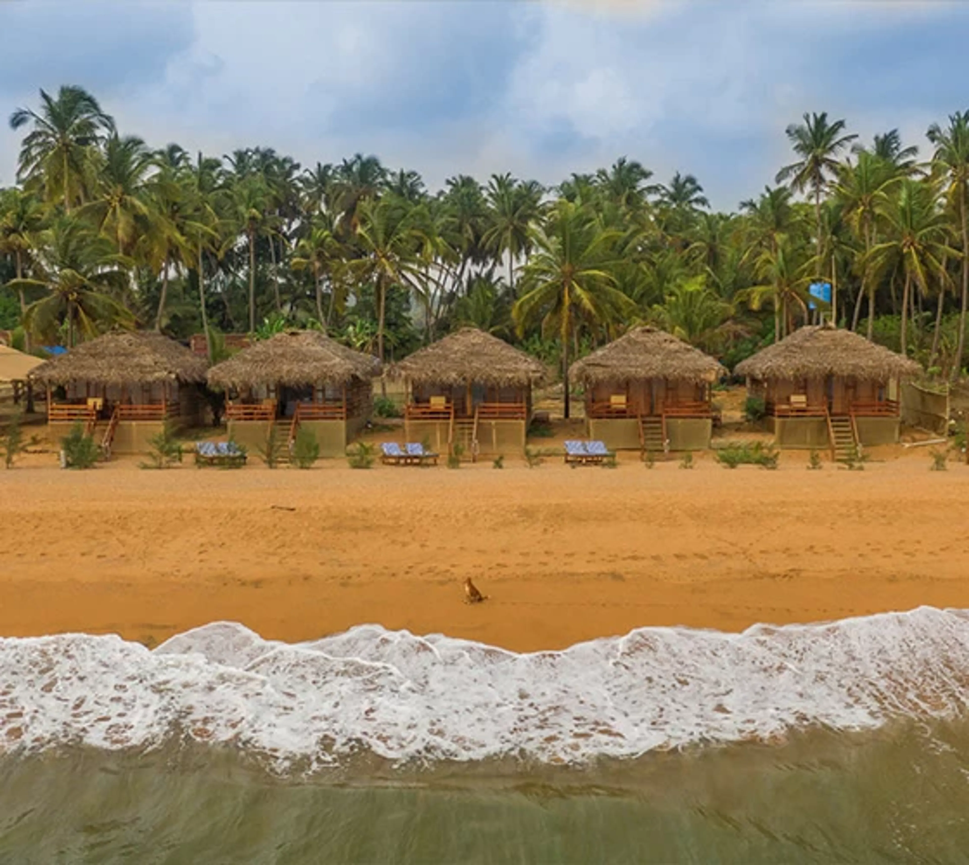 Zwischen Strand und Dschungel: Deine Yoga-Praxis in Goa - 1
