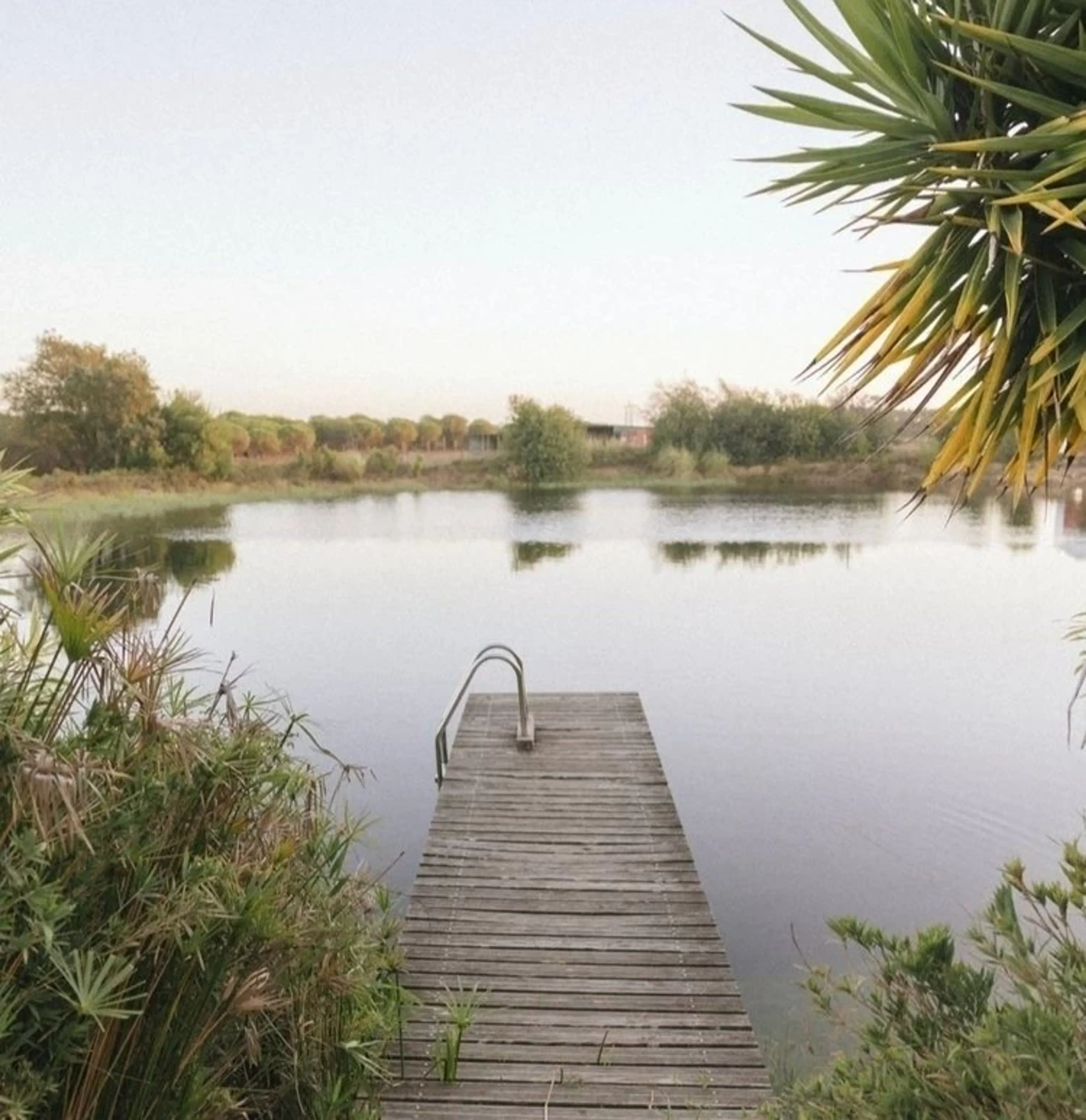 Reflect & Reset : Silvester-Yoga-Retreat in Portugals Natur - 4