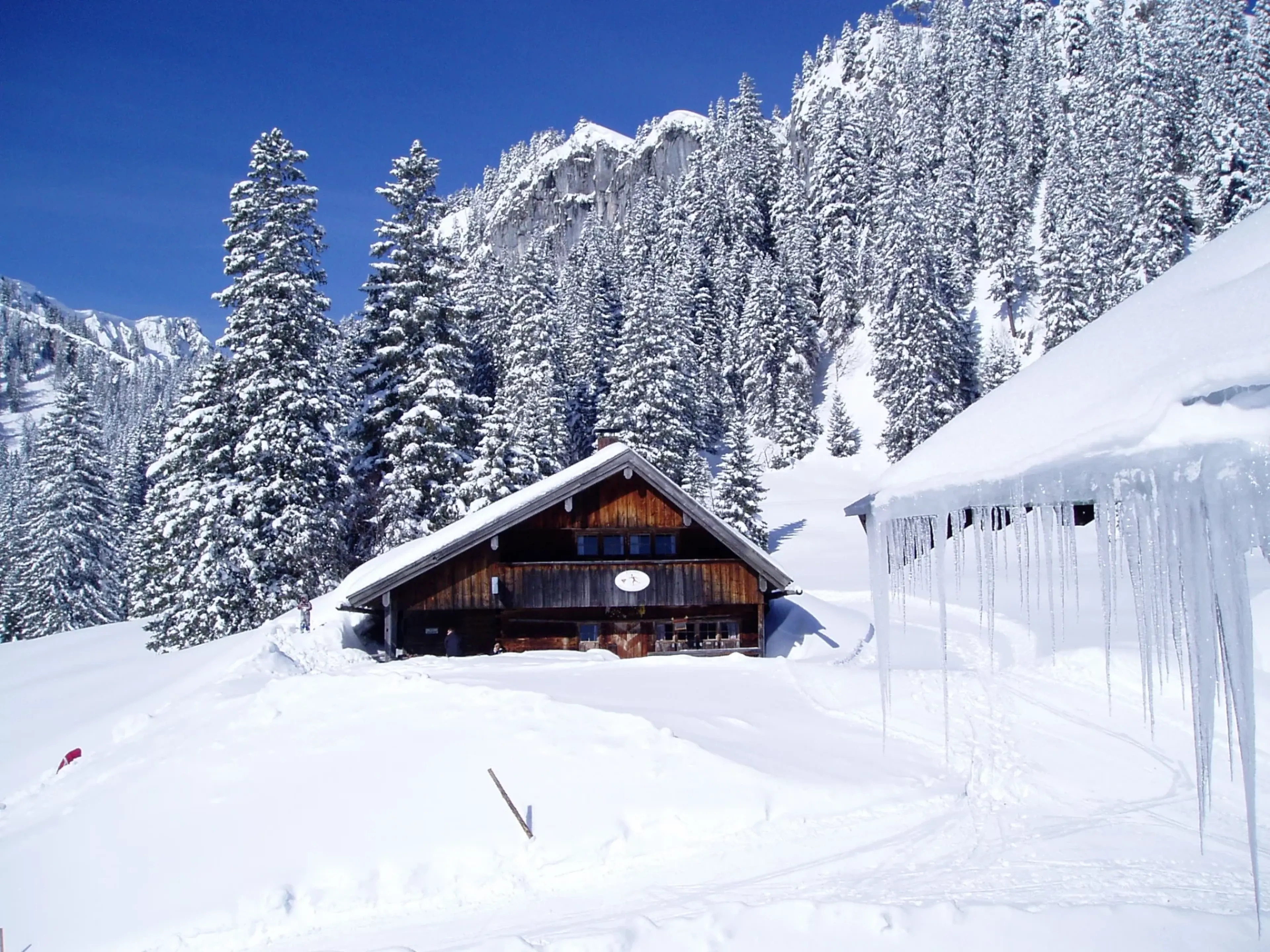 Yoga und Schneeschuhwandern mit Alleinlage auf 1300 Metern - 4