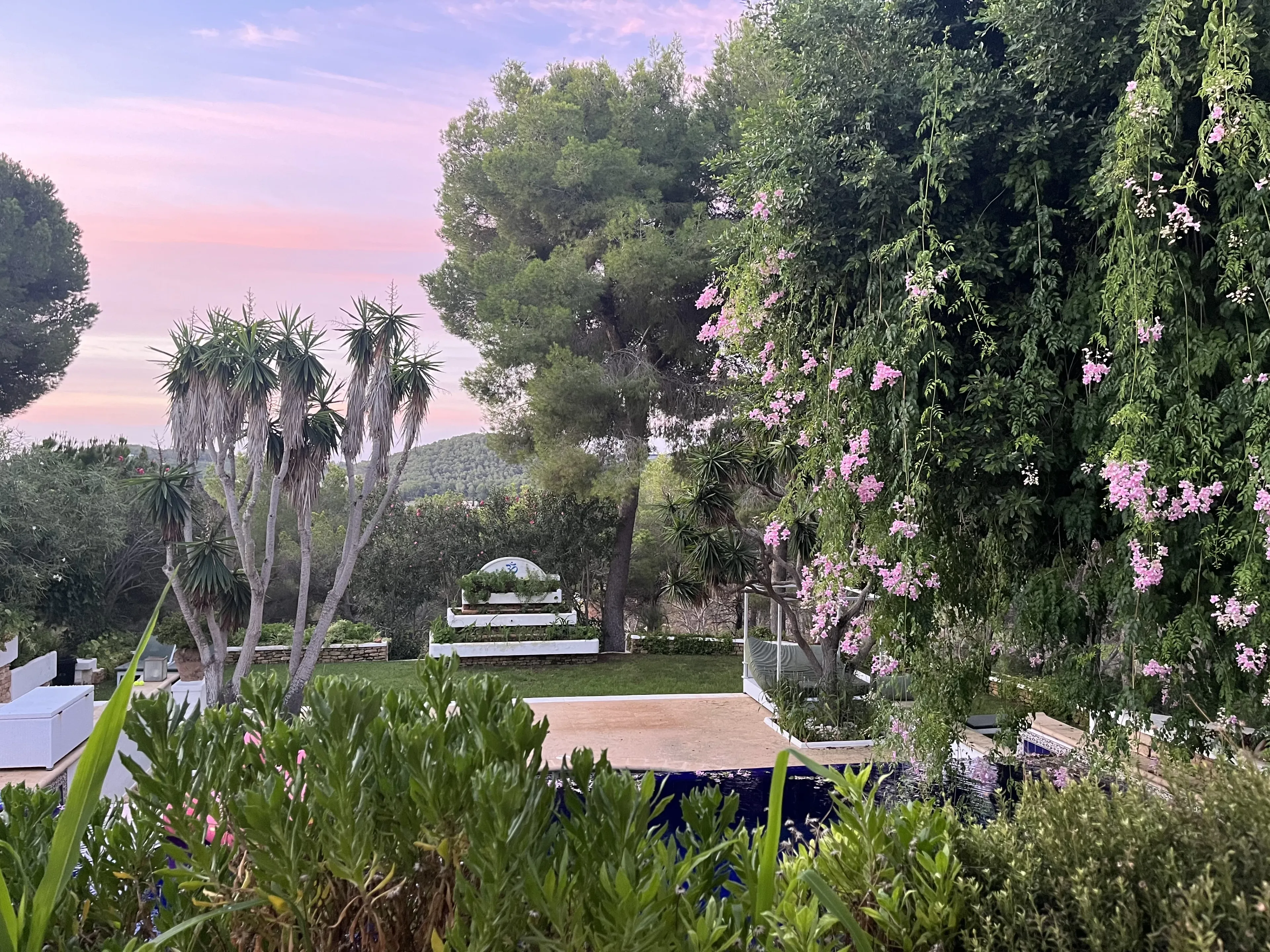 Yoga & Wellness auf Ibiza – Finde zurück zu dir selbst - 3