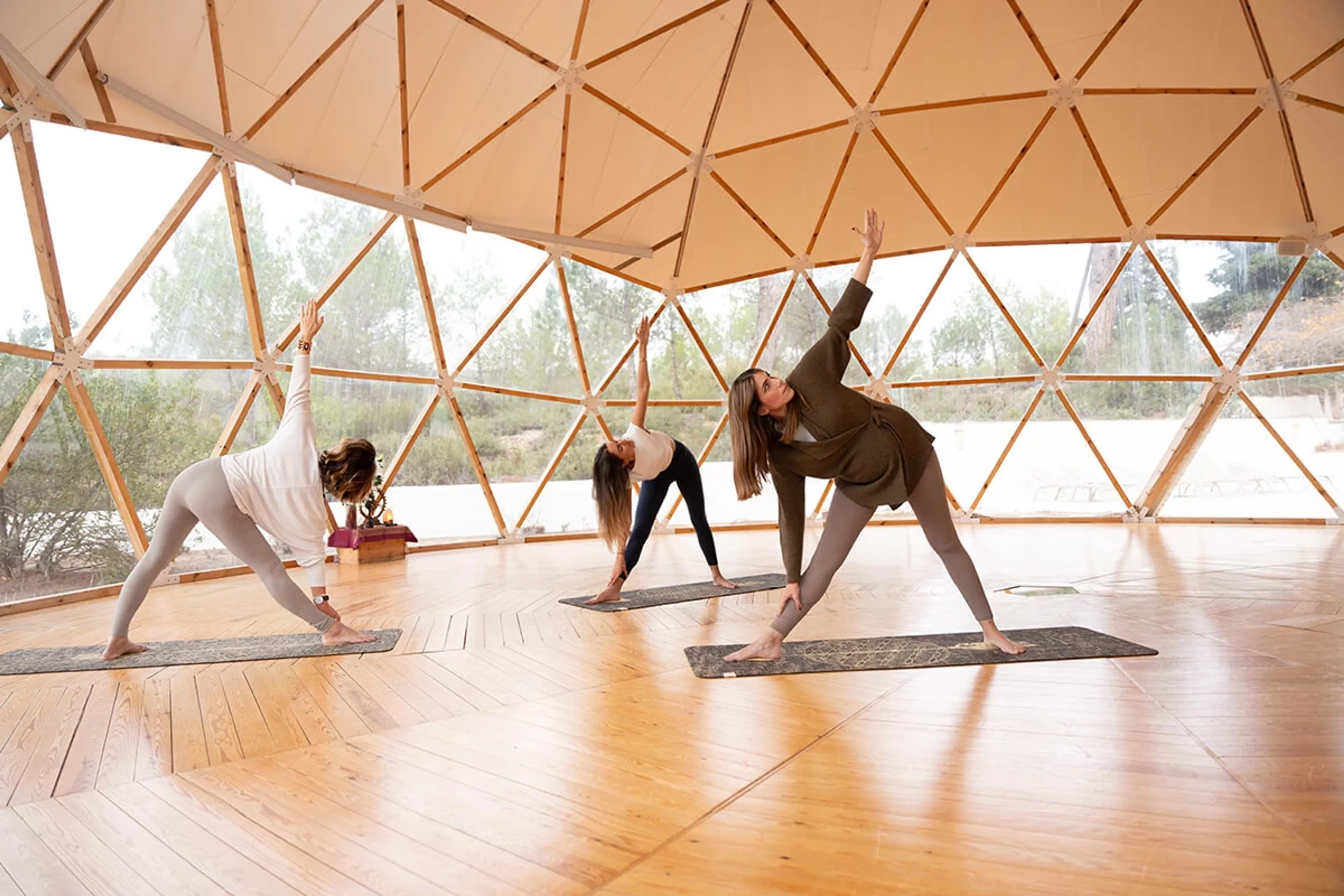 De-Stress-Retreat: Ruhe und Regeneration im Naturpark - 3