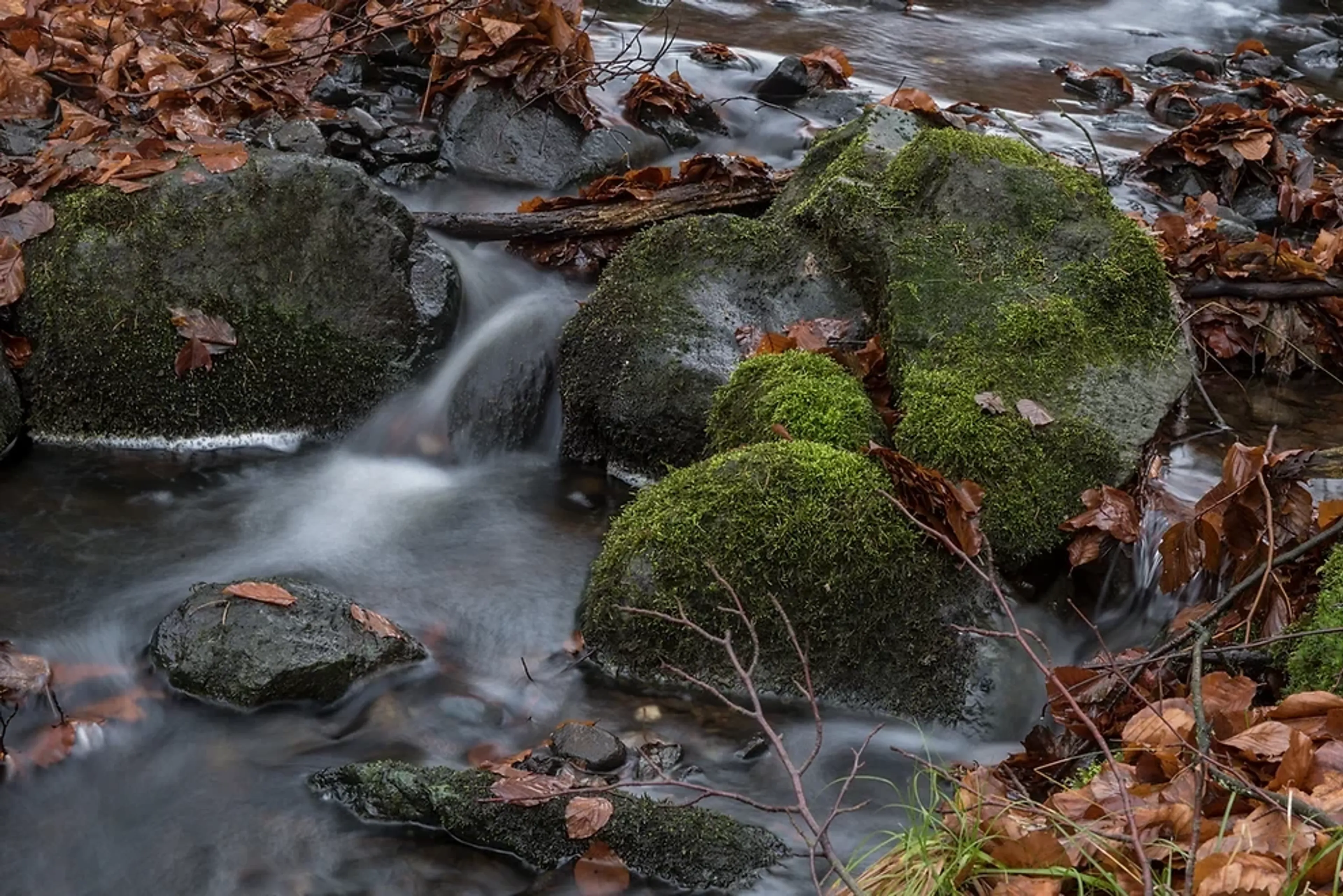 Yoga und Meditations-Wochenende: Bringe Körper und Geist in Balance - 4