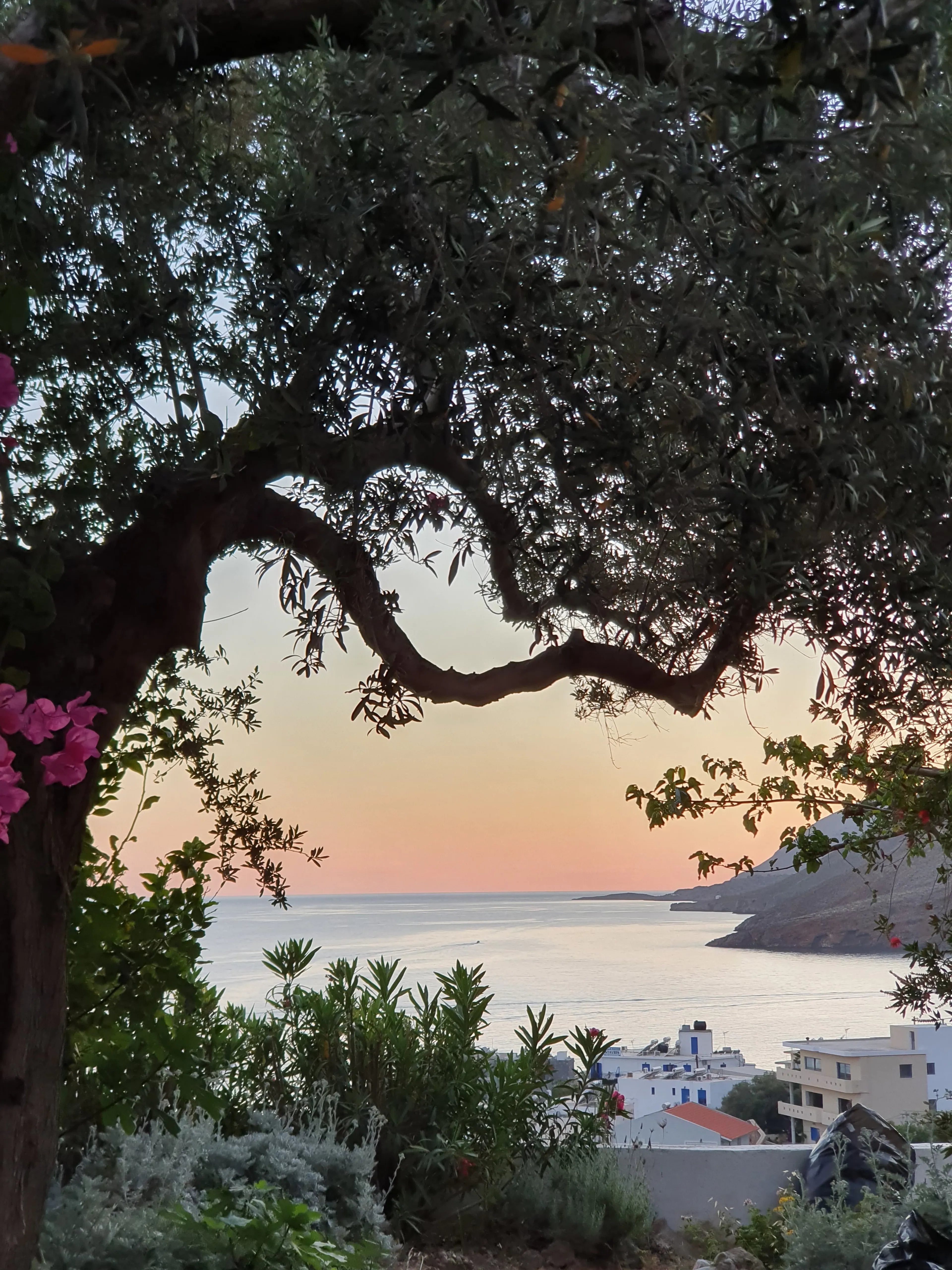 Iyengar Yoga Retreat auf Kreta: Erlebe Leichtigkeit von Körper & Geist - 3