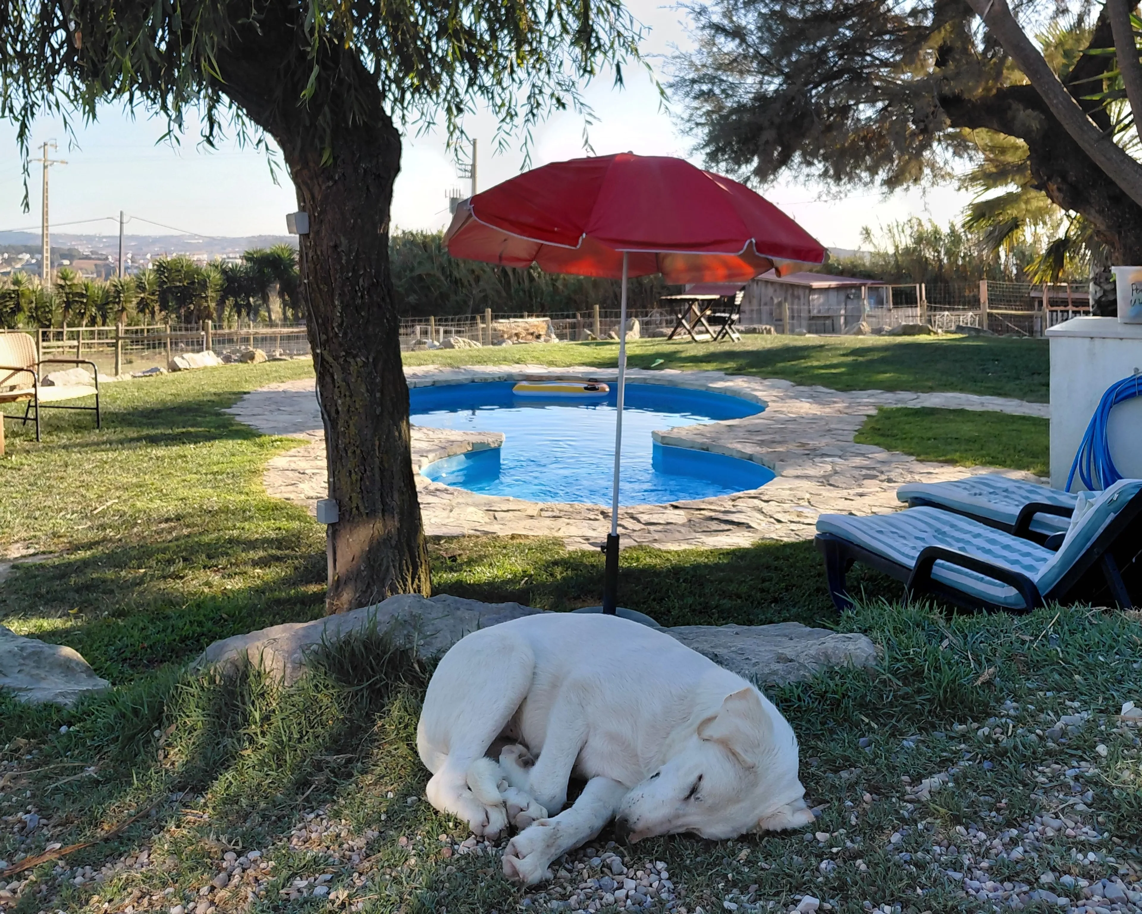 Surfen & Mountainbiken inmitten von Portugals Natur - 4