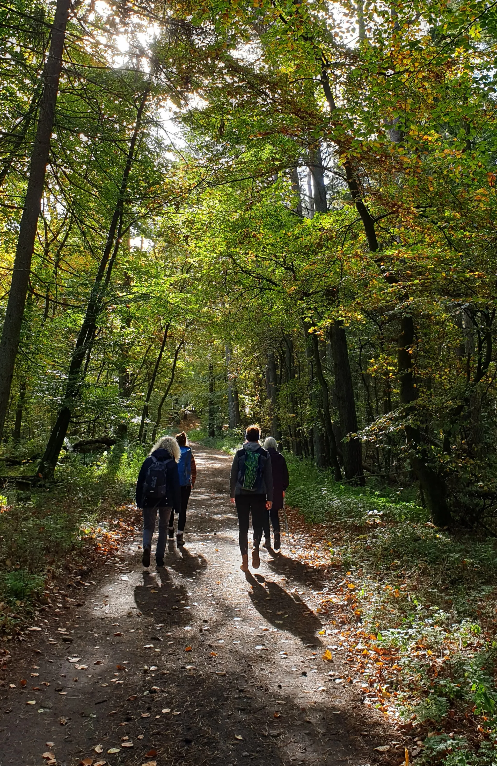 Yoga, Wandern und Rohkost-Detox im Müritz-Nationalpark