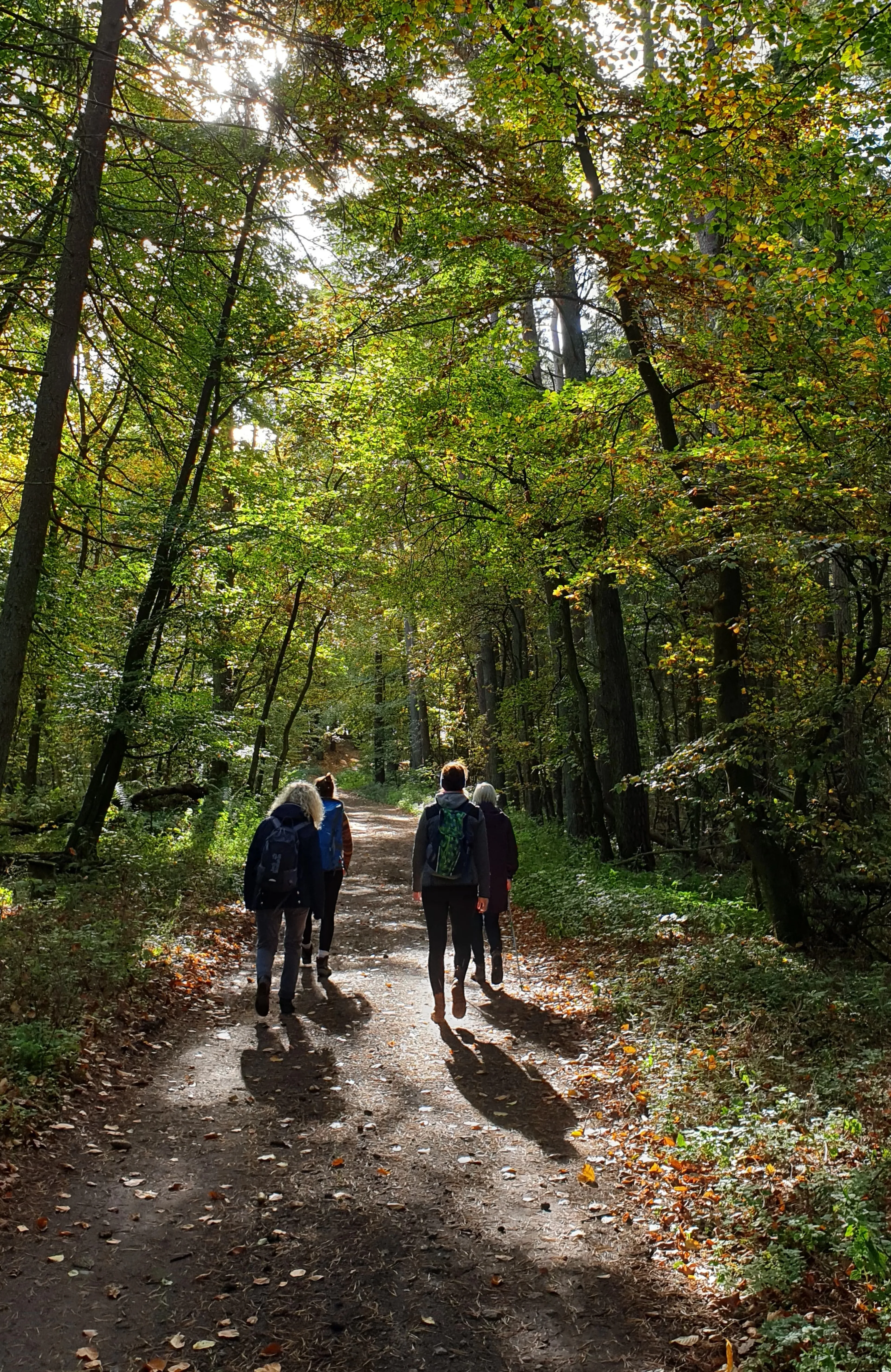Yoga, Wandern und Rohkost-Detox im Müritz-Nationalpark - 1