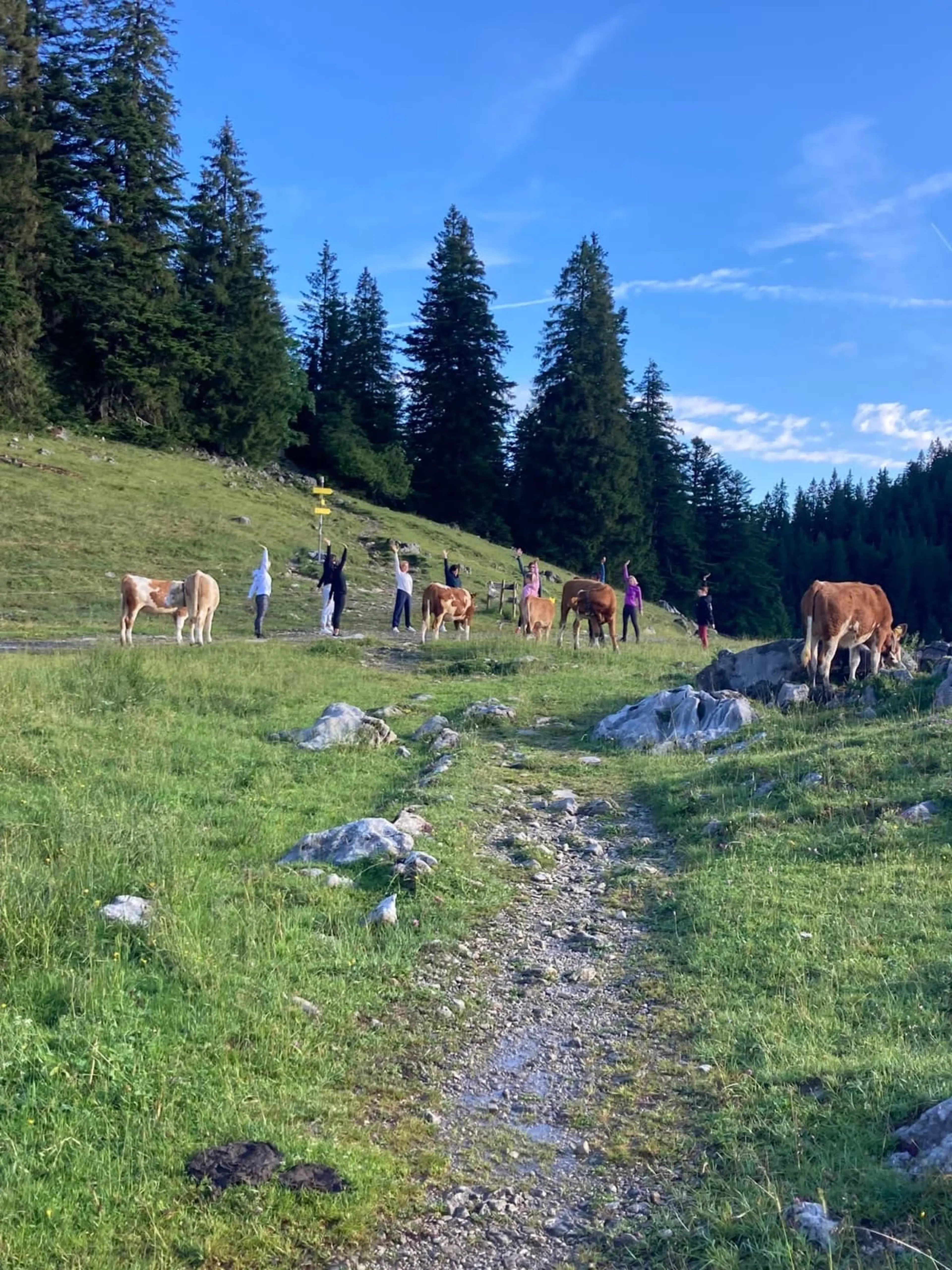 Yoga, Wandern und Waldbaden auf der Oberen Firstalm - 4