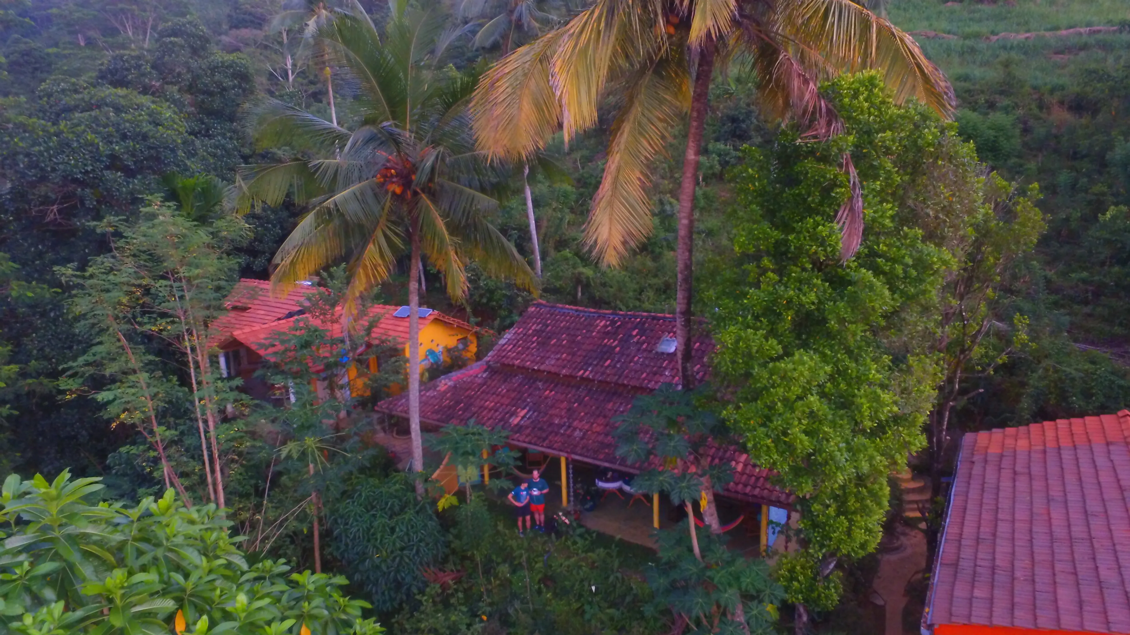 Wandern und Radfahren im letzten unberührten Regenwald Sri Lankas - 5