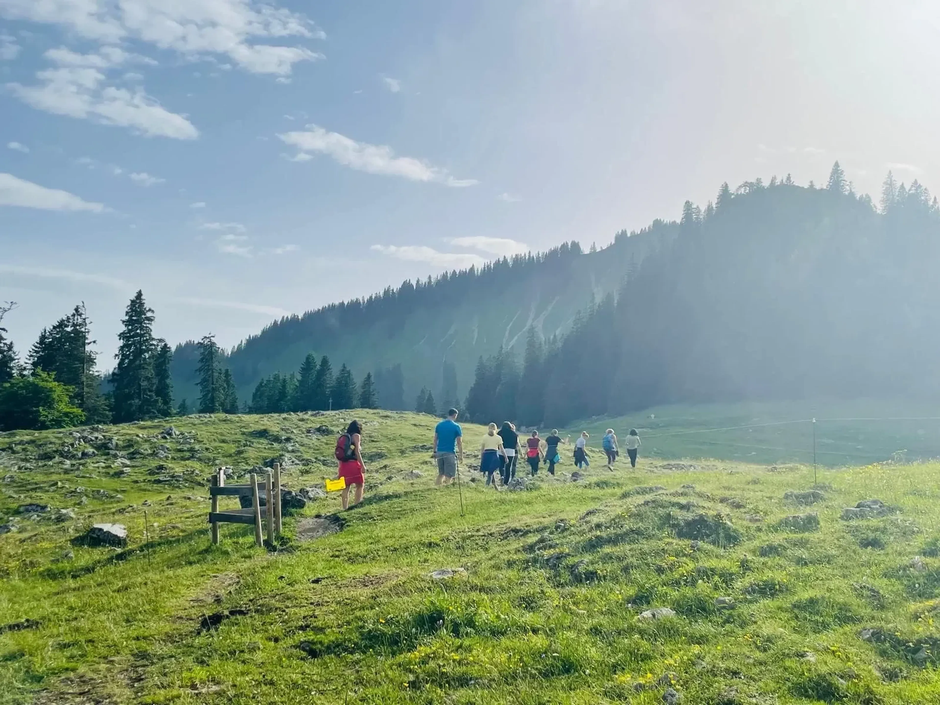 Sternenklare Auszeit: Yoga und Sternschnuppen über den Bergen - 4