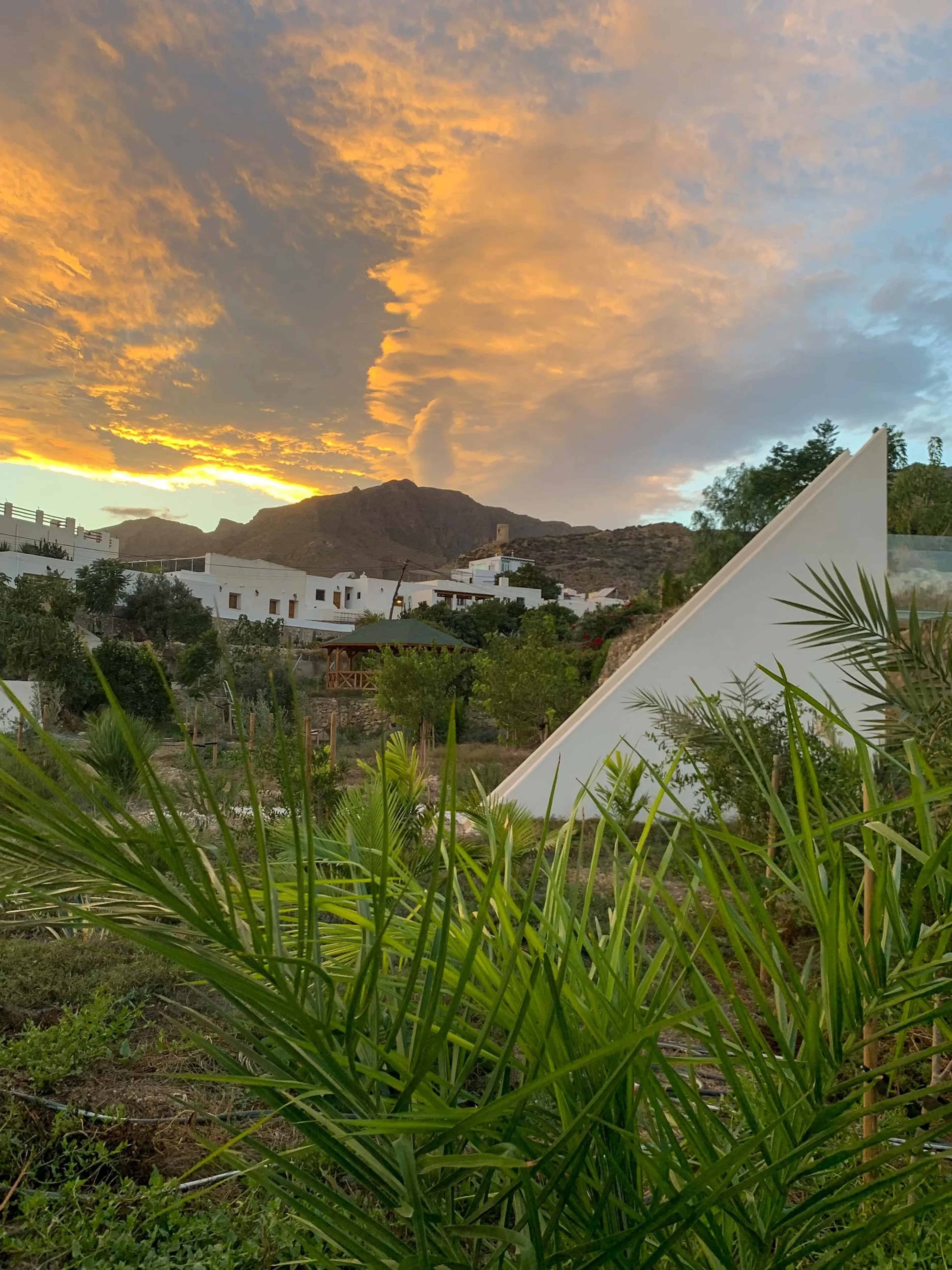 Im Rhythmus der Stille: Meditatives Leben in der Natur Andalusiens - 4