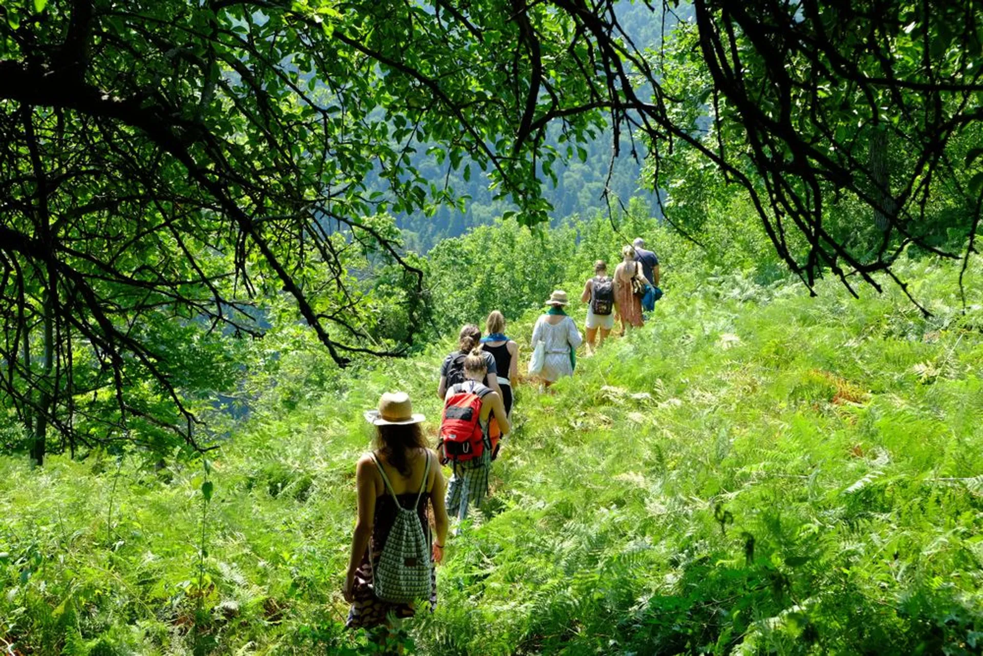 Transformatives Yoga-Retreat am Olymp in Griechenland - 2