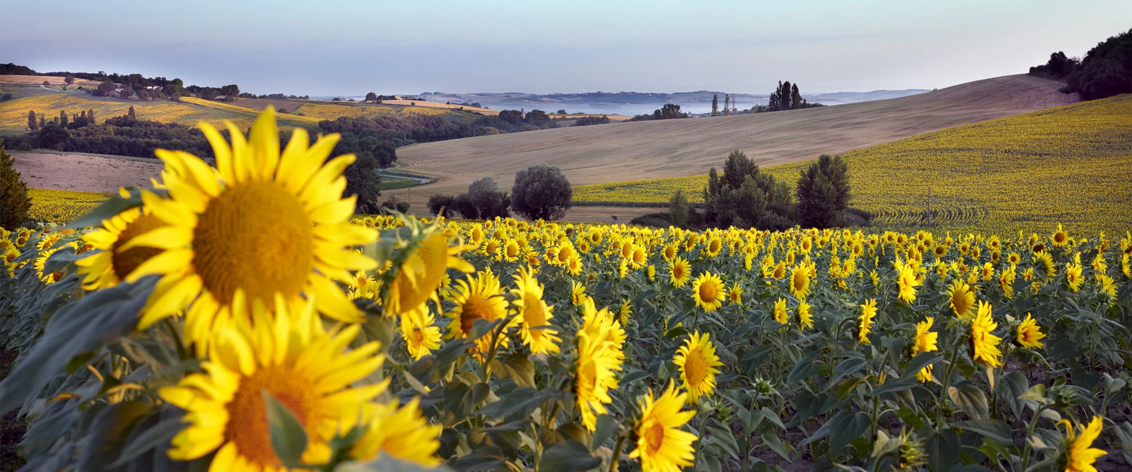 Yoga & Sterne unter der Milchstraße in der französischen Toskana - 3
