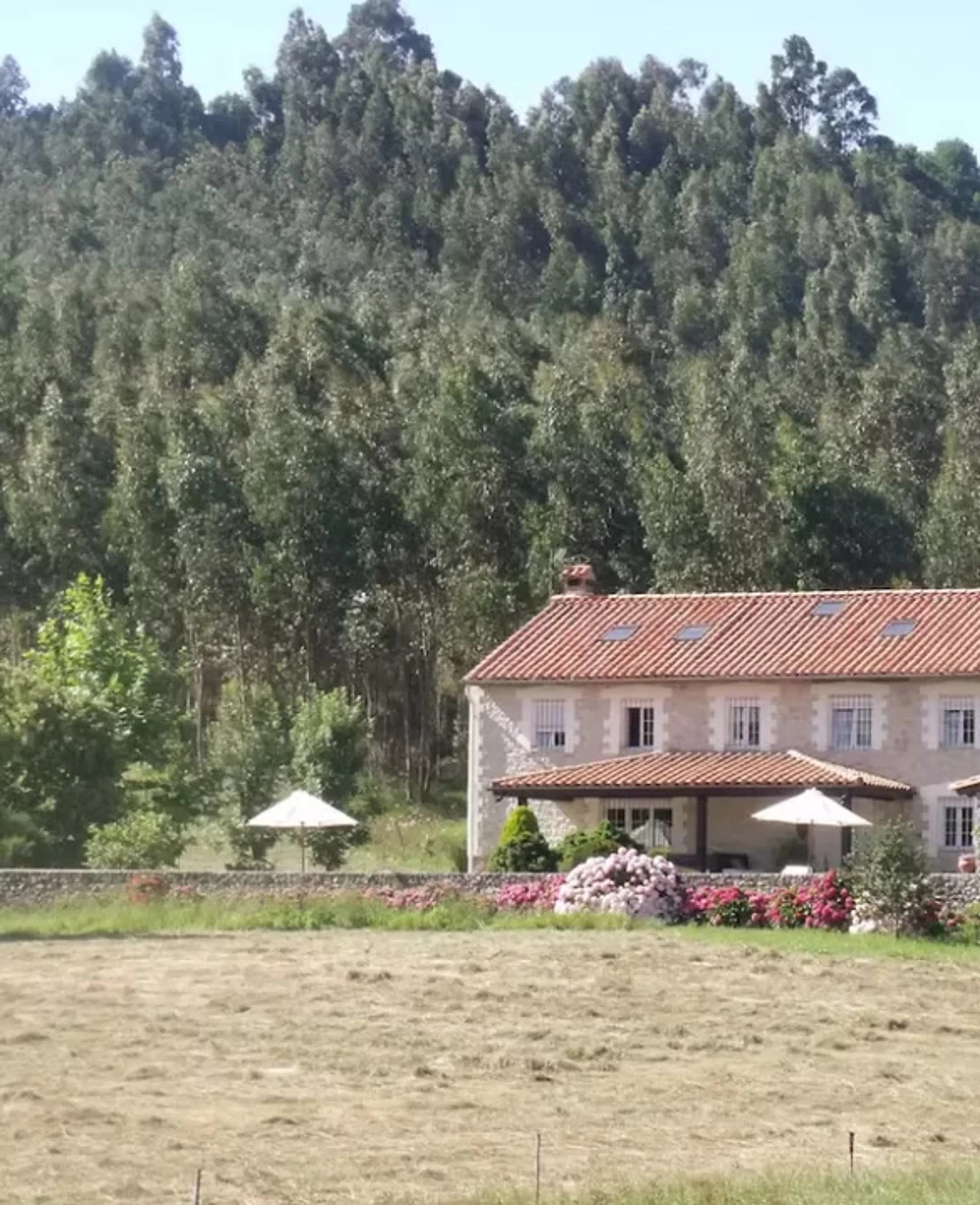 Female Empowerment & Hormonal Balance im grünen Kantabrien - 1