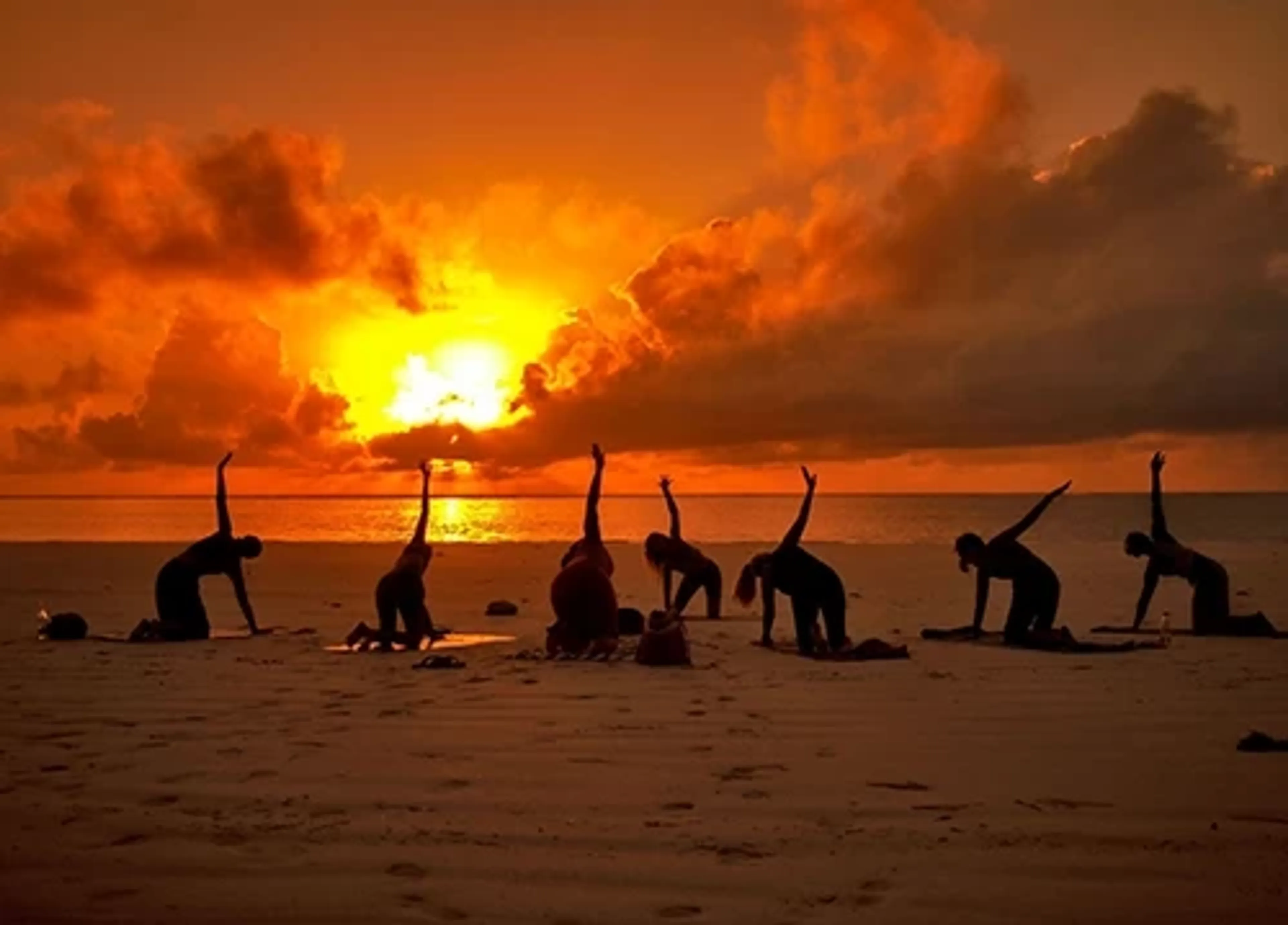 Yoga meets Safari: Dein Yoga-, Safari- und Strandurlaub in Kenia - 5