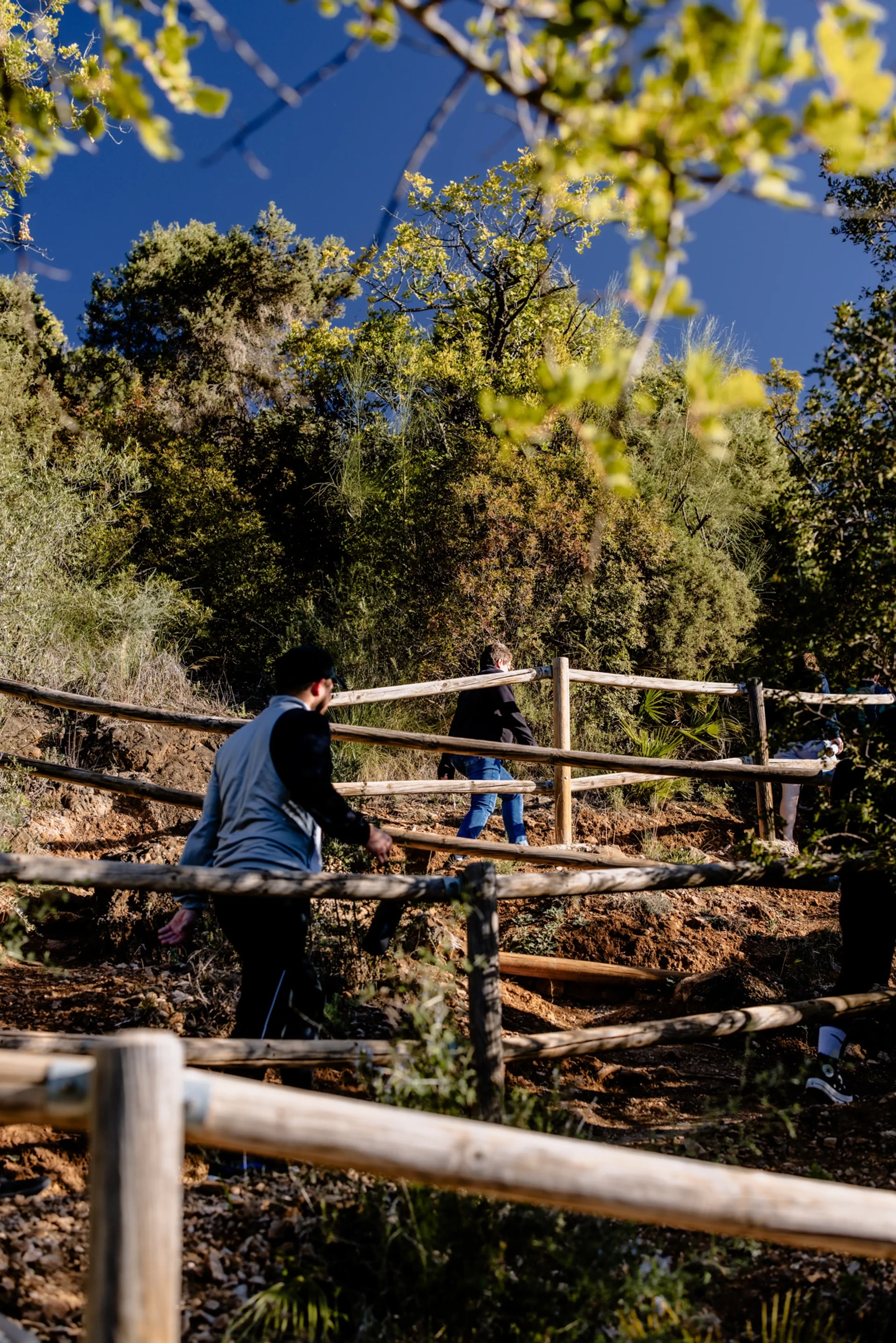 Stay Balanced: Finde zurück zu einem gesünderen Lebensstil - 3