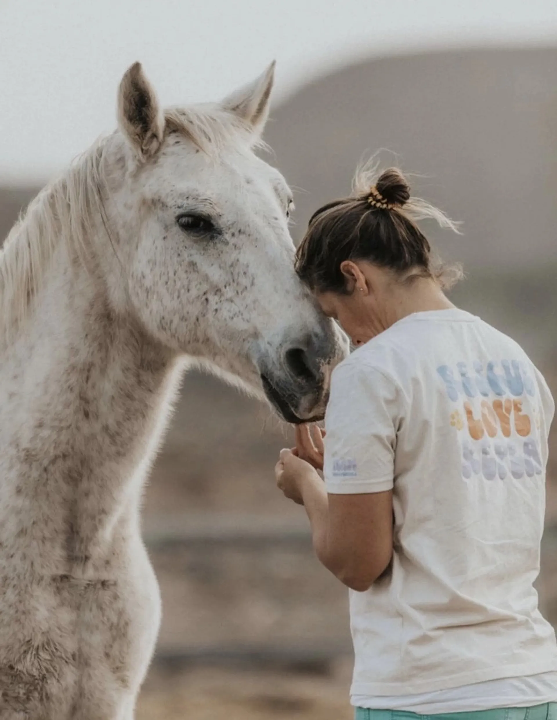 Yoga & Erden mit Pferden