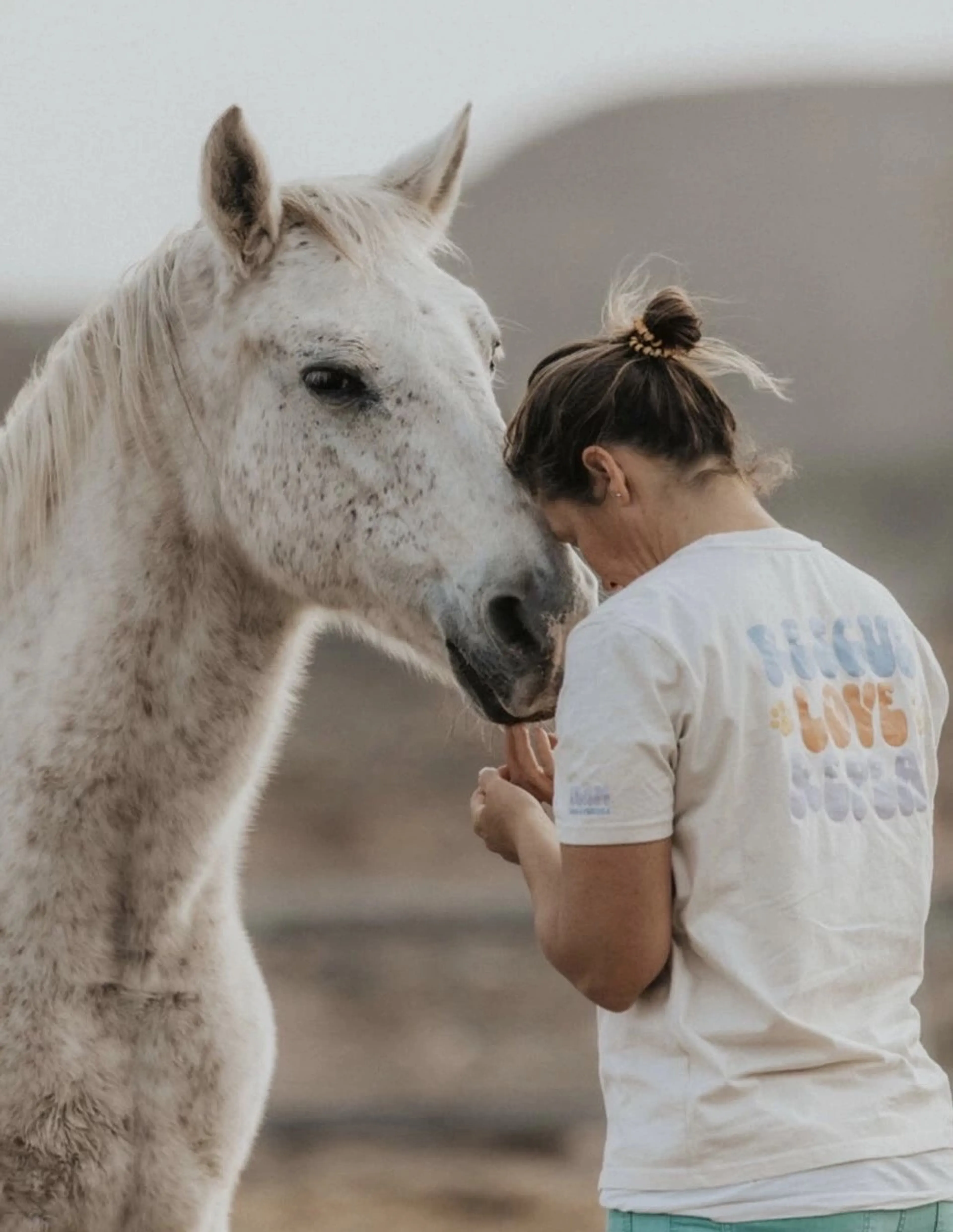 Yoga & Erden mit Pferden