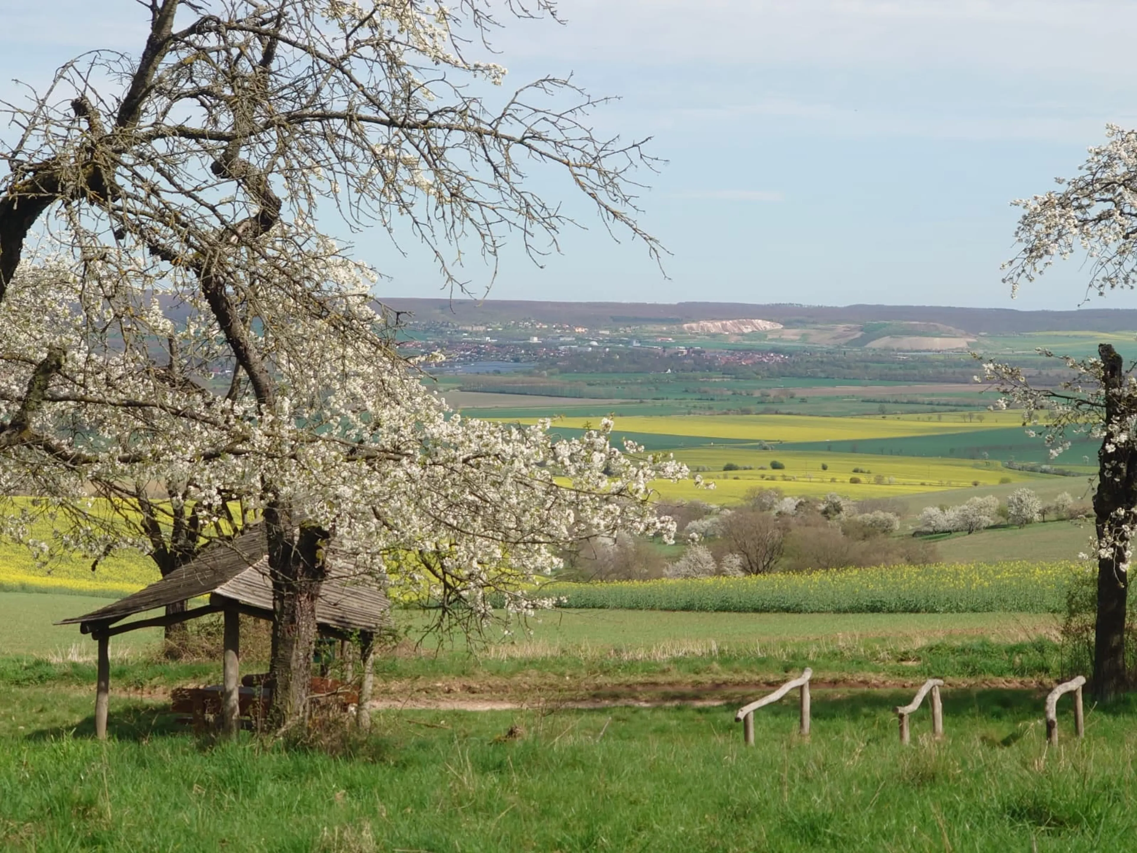 Yoga- und Meditationswochenende im Kloster Donndorf - 5