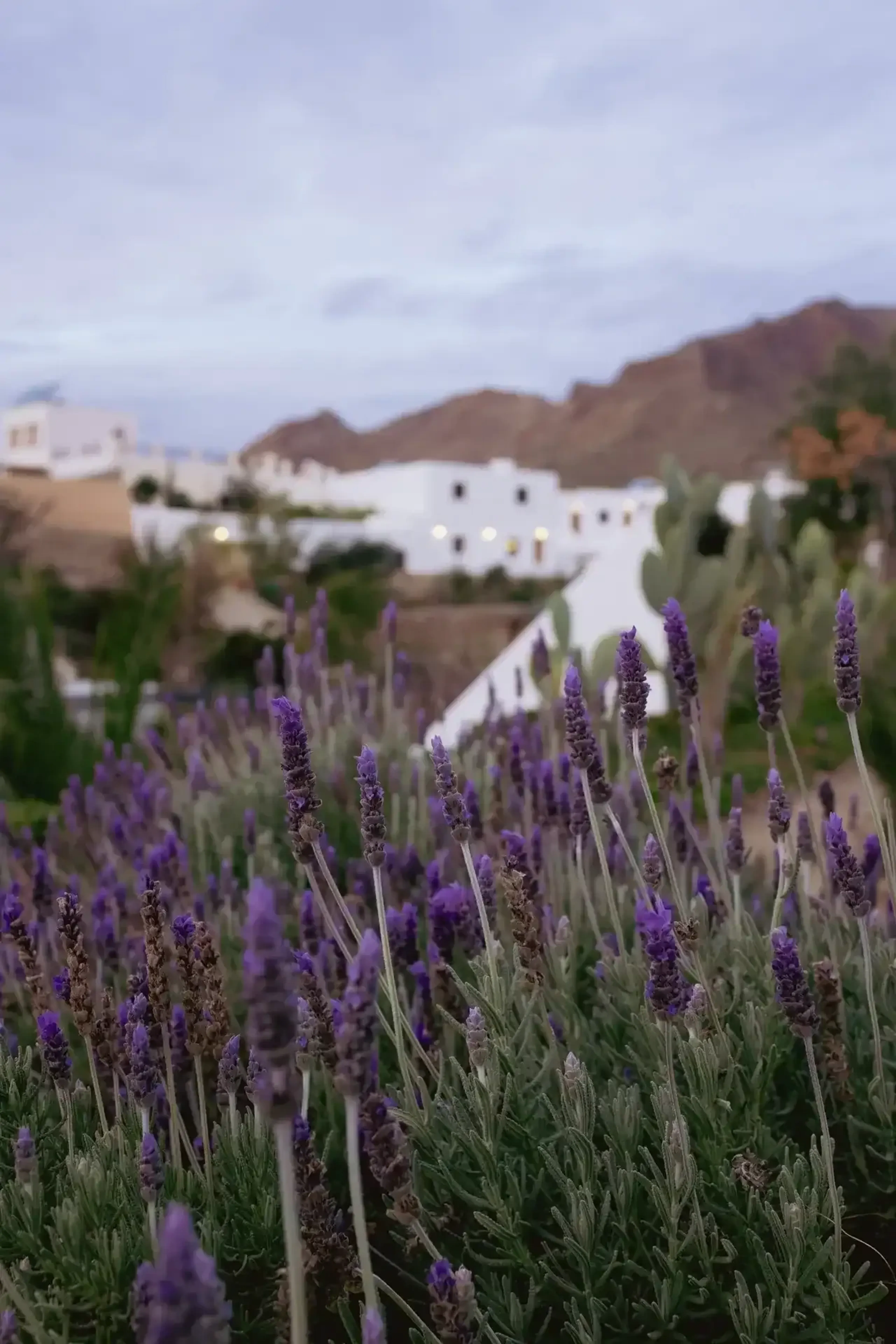 Selbstfindung und Meditation im andalusischen Garten - 4