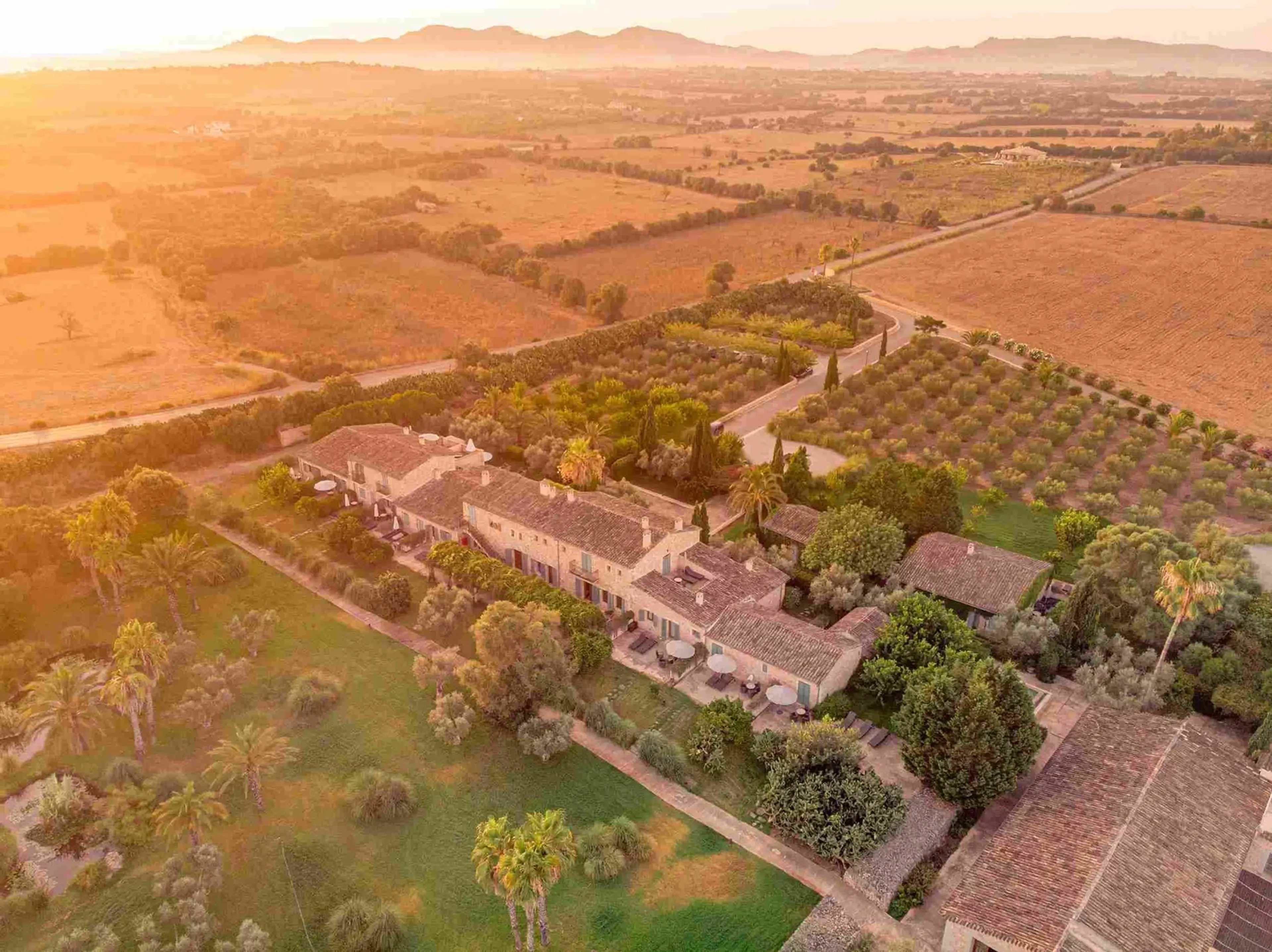 Verjüngendes Ayurveda-Retreat in der friedlichen Umgebung Mallorcas - 5