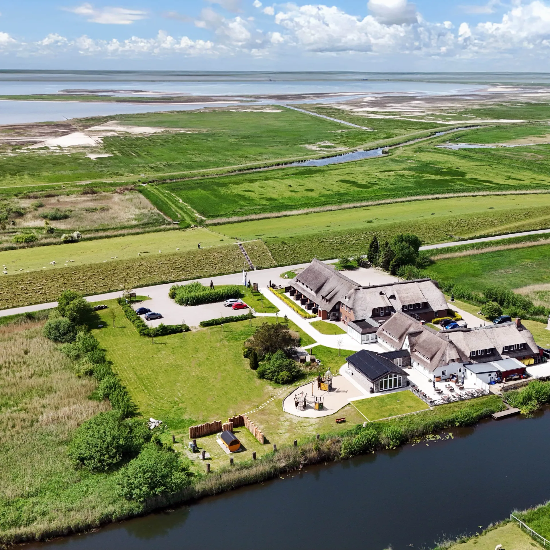 Yoga am Deich: Entspannung, Natur und Nordseeluft - 4